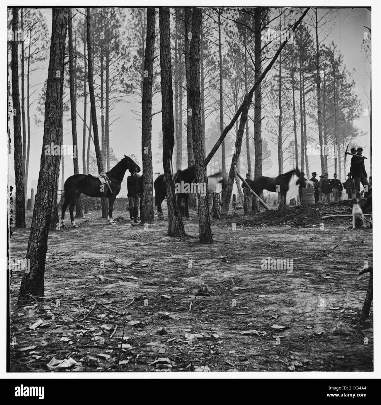 Photo d'époque de la Guerre de Sécession 1860s Banque D'Images