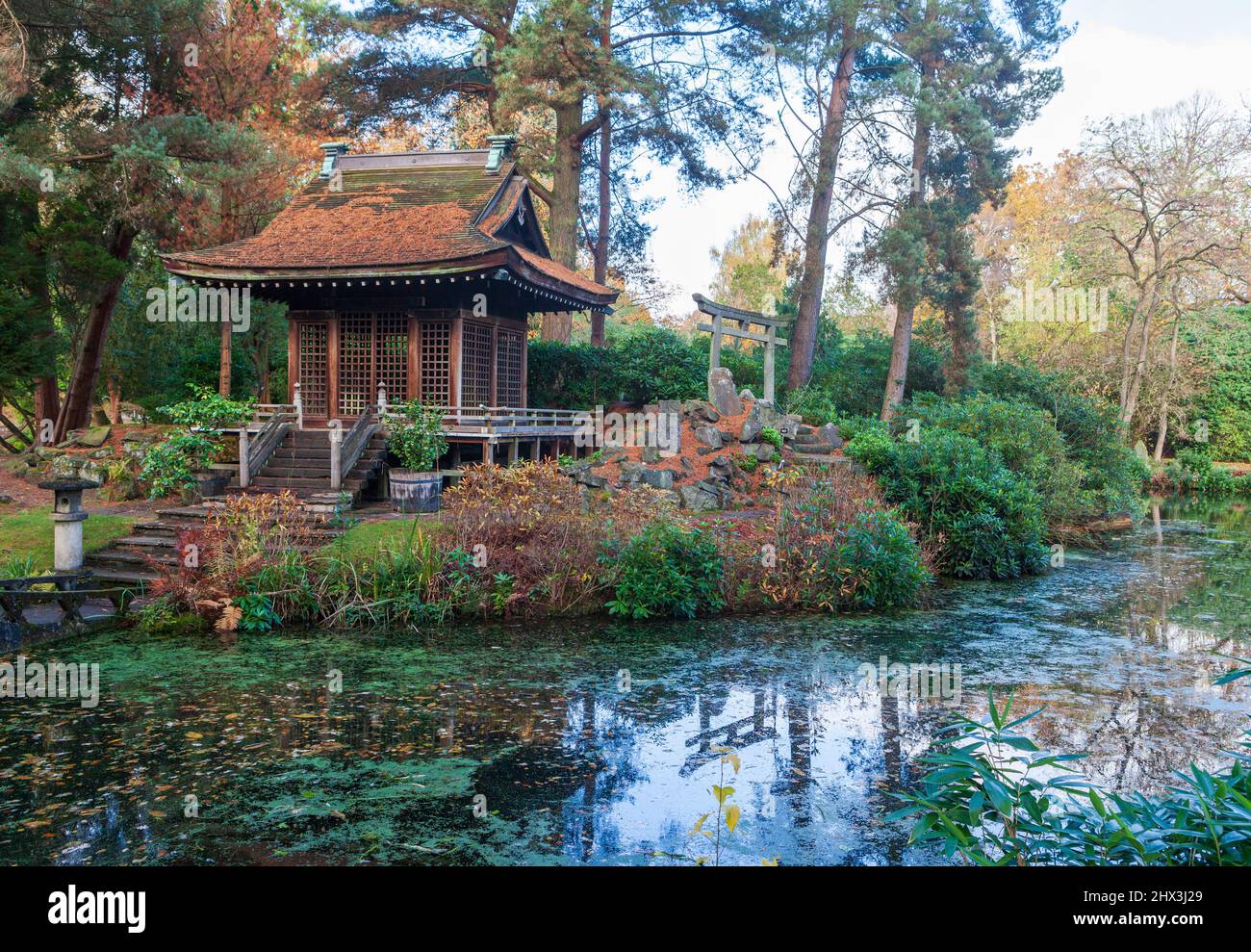 Vue d'automne du sanctuaire shinto et de l'étang dans le jardin japonais à Tatton Park près de Knustford, Cheshire Banque D'Images