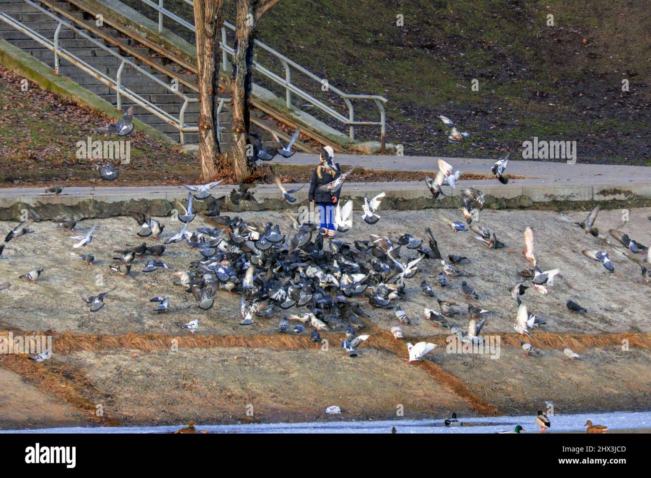 Une petite fille se réjouit des pigeons à Kiev. Banque D'Images