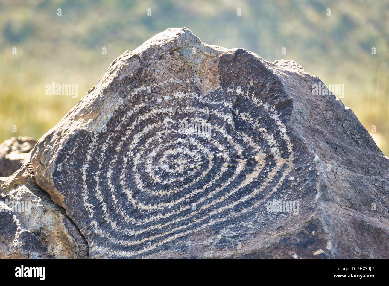 Pétroglyphes Hohokam de conception abstraite en spirale au site de signal Hill Petroglyph dans le parc national de Saguaro (ouest) près de Tucson, Arizona, États-Unis Banque D'Images