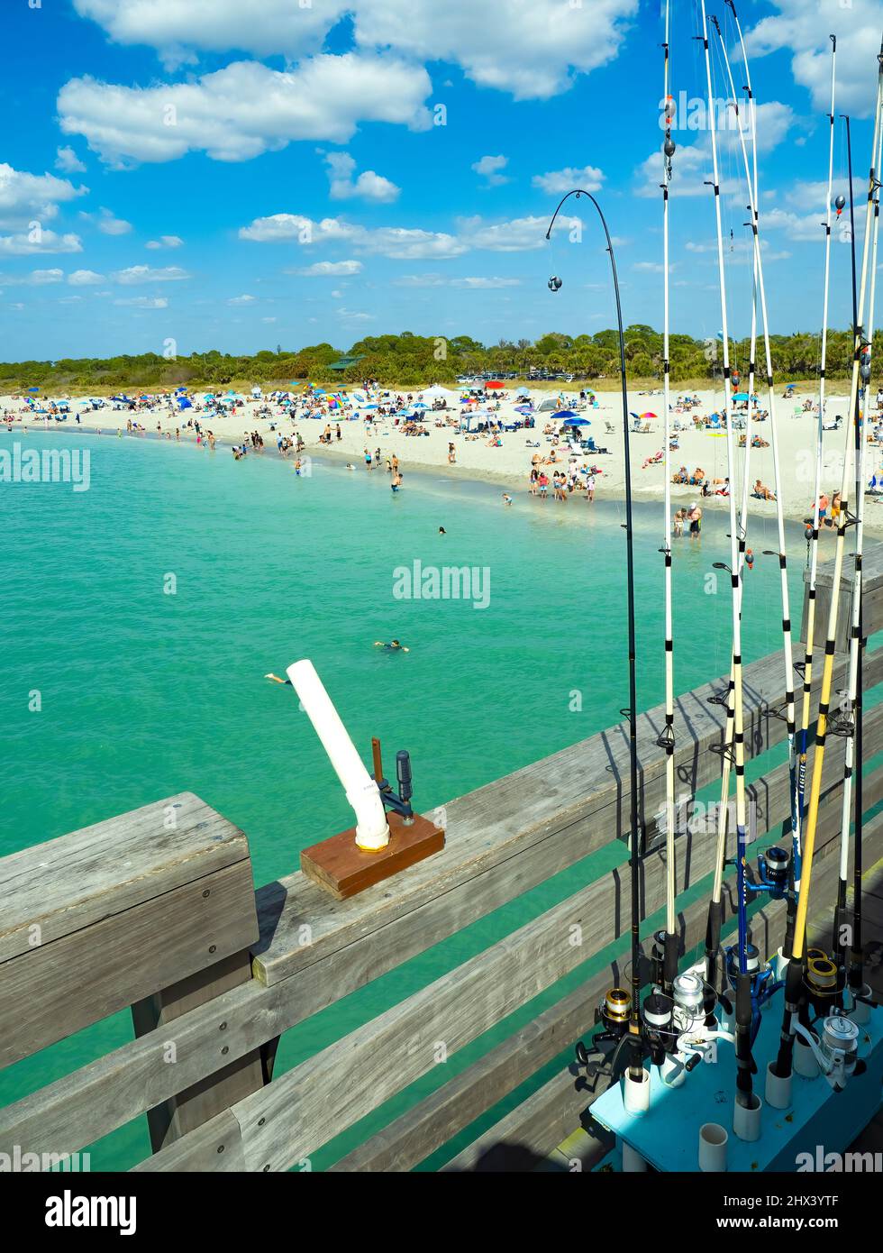 Jetée publique sur le golfe du Mexique à Venise Floride États-Unis Banque D'Images