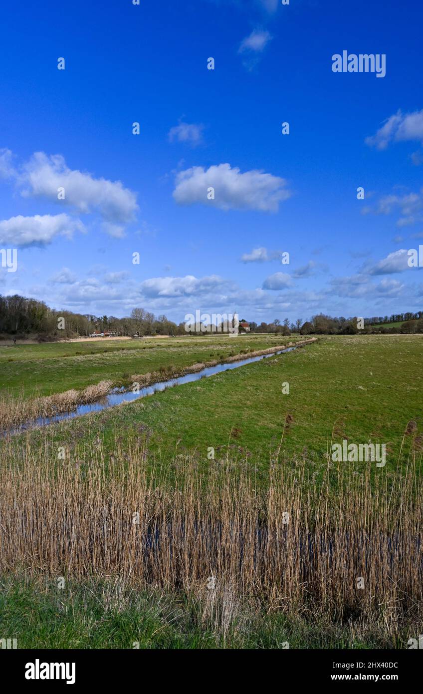 Alfriston East Sussex, Angleterre Royaume-Uni - Une vue sur les terres agricoles à côté de la rivière Cuckmere Banque D'Images