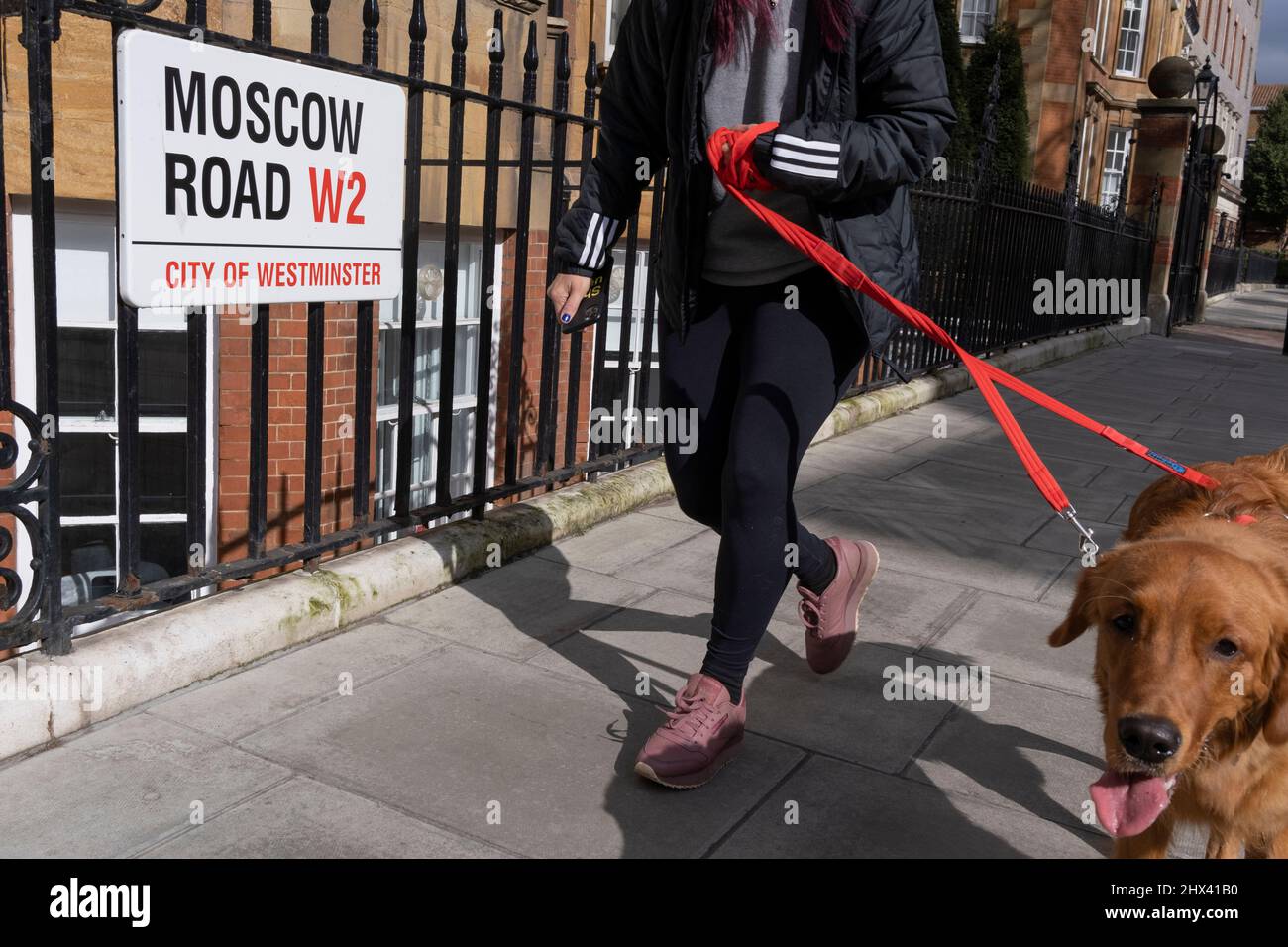 Alors que la guerre en Ukraine se poursuit dans sa deuxième semaine, un marcheur de chiens continue sur la route de Moscou à Londres W2 à quelques rues de l'ambassade russe à Notting Hill, le 9th mars 2022, à Londres, en Angleterre. Le groupe de campagne « Transparency International » a déclaré que près de 1,5bn 000 livres sterling de biens immobiliers britanniques ont été dépensés avec des fonds suspects en provenance de Russie, via la City of London, le quartier financier de la capitale britannique. Banque D'Images