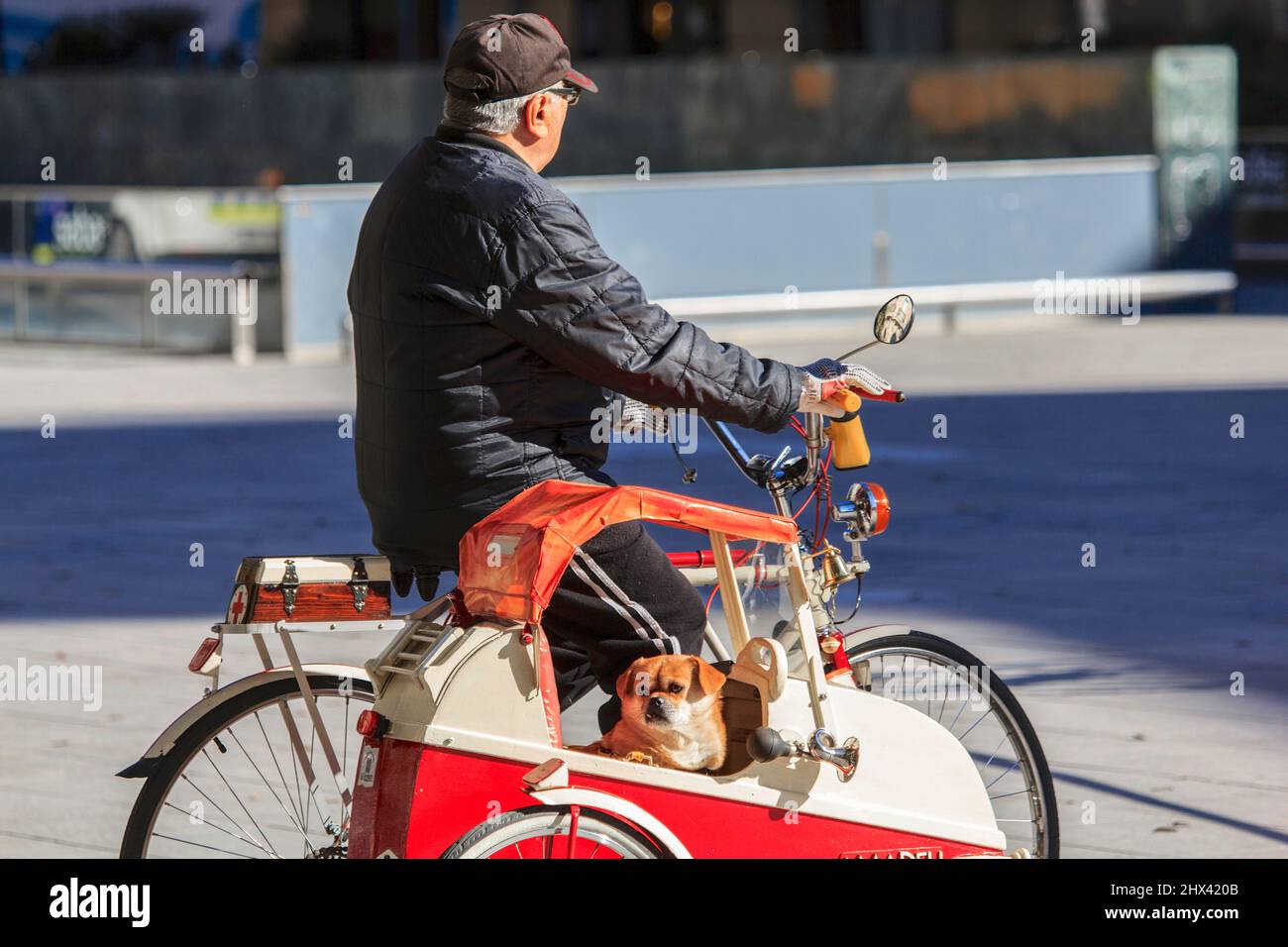 homme sur bicyclette avec son chien qui court a cote