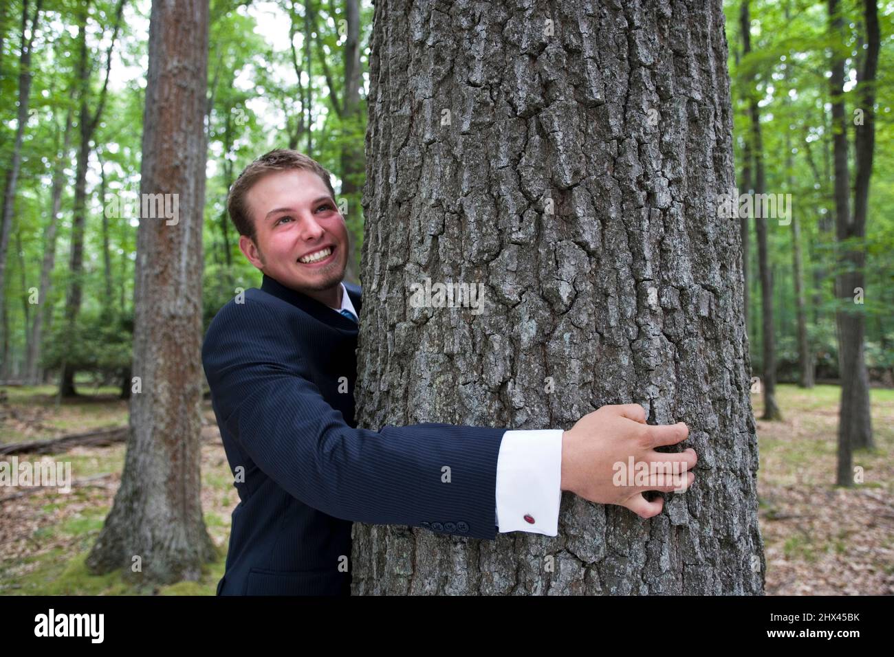 JEUNE HOMME D'AFFAIRES SOURIANT EMBRASSANT UN VIEUX PIN DE CROISSANCE DANS UNE FORÊT TEMPÉRÉE MIXTE DU NORD Banque D'Images