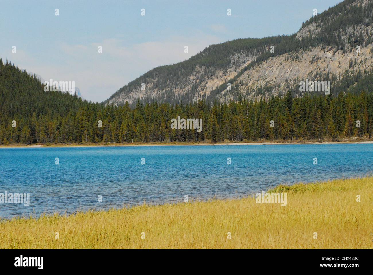 Des signes de changement climatique sont visibles par les arbres brûlés au fond d'un magnifique lac turquoise dans les montagnes Rocheuses, près de Banff, au Canada. Banque D'Images