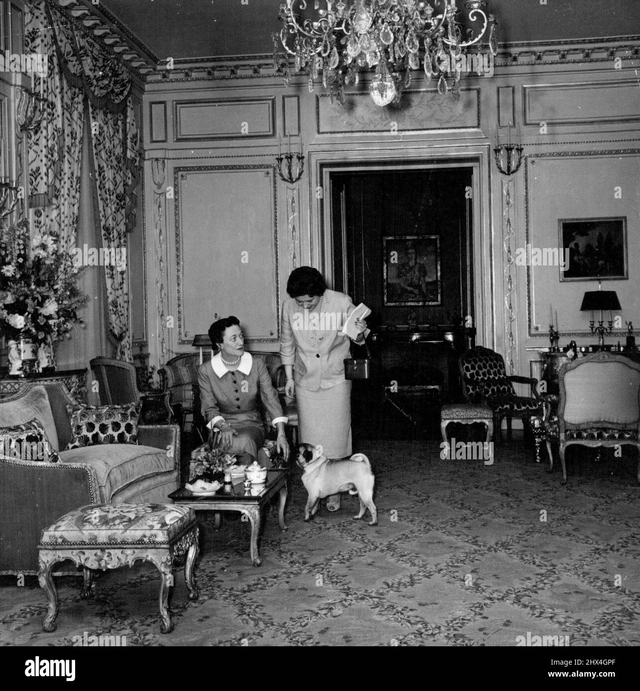La duchesse et le chien reçoivent un visiteur dans la salle de réception gris argenté. Le tapis est un hommage au goût de l'hôtesse - Wallis bleu. 26 septembre 1955. (Photo par Daily Mirror) Banque D'Images