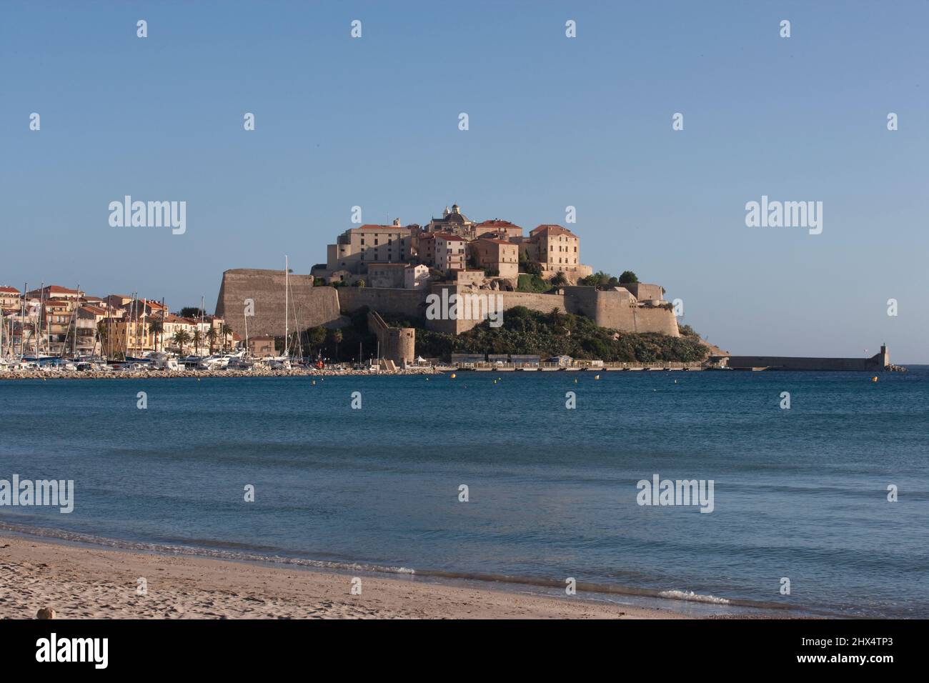 France, Corse, Calvi, vue sur la citadelle depuis la plage de la ville Banque D'Images