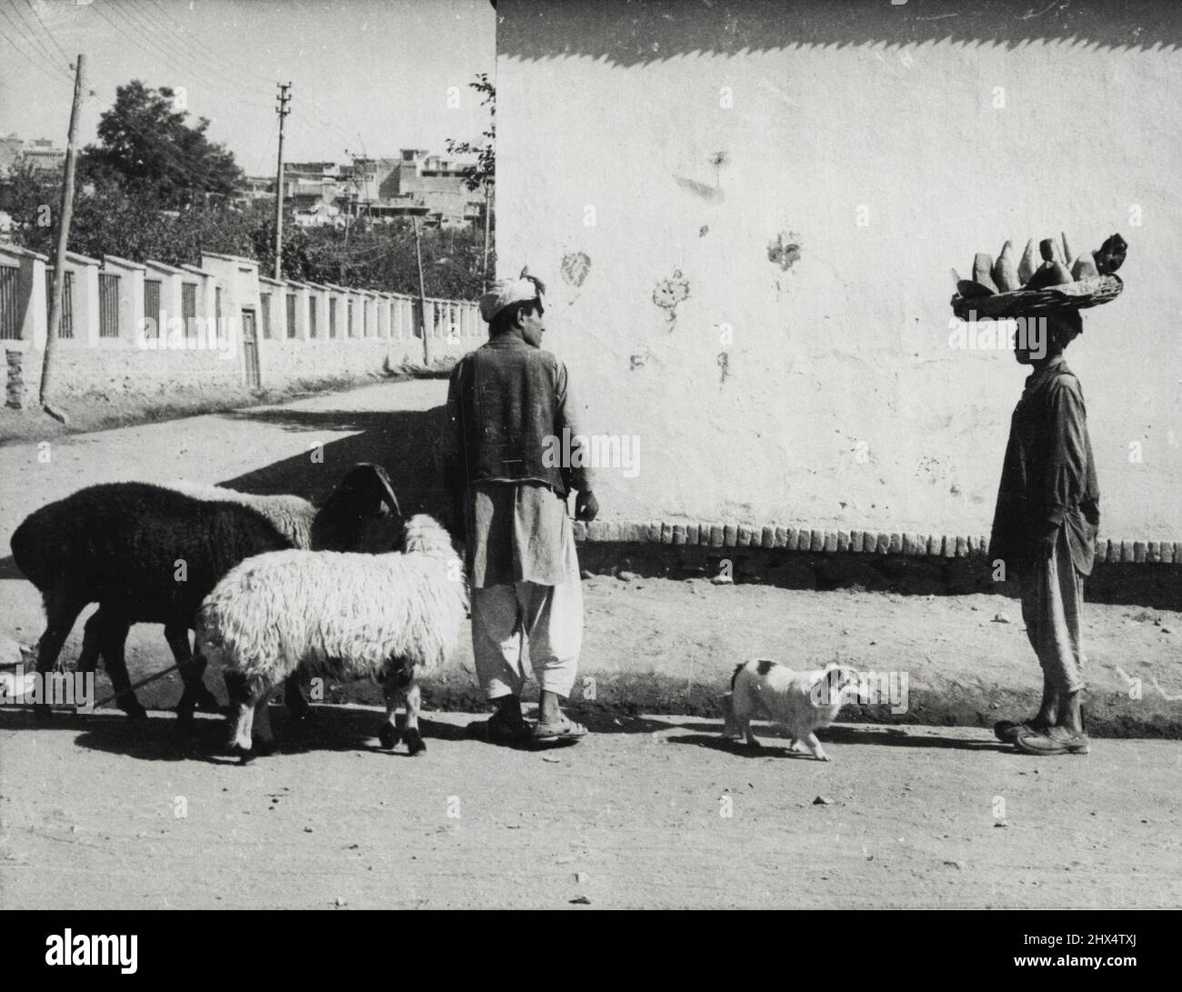 Au Moyen-Orient -- Un berger et un vendeur de rue - deux des figures les plus importantes de l'économie nationale - s'arrêtent pour bavarder le long d'une rue non pavée à Kaboul, capitale de l'Afghanistan. Tampon géographique entre la Russie soviétique et l'Inde, l'Afghanistan est un pays agricole riche en blé, en viande et en fruits. La laine est une exportation principale. Maintenant, cherchant à se moderniser, les Afghans trouvent que l'est et l'Ouest se sont fait courtisés par la guerre froide. Des techniciens russes soviétiques construisent des routes à Kaboul, une nouvelle usine et un dépôt d'essence. L'Afghanistan paie pour toute cette aide par troc ou en espèces. Non Banque D'Images