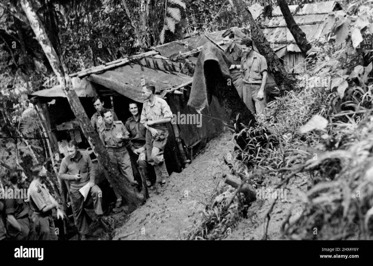 Faisant le meilleur des conditions pas tout à fait idéales, les Australiens ont construit ce camp dans la jungle sur une colline près de Mubo. 16 août 1943. (Photo du Département de l'information du Commonwealth d'Australie). Banque D'Images