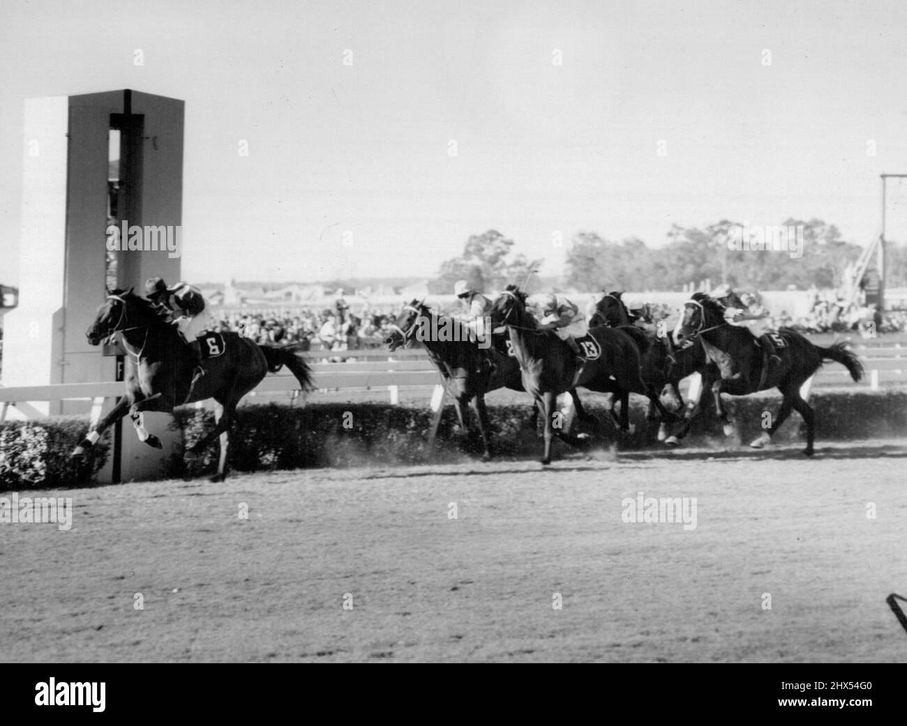 « The Wash » - chevaux de course. 13 juin 1955. (Photo de Telegraph Newspapers Co. Ltd.) Banque D'Images