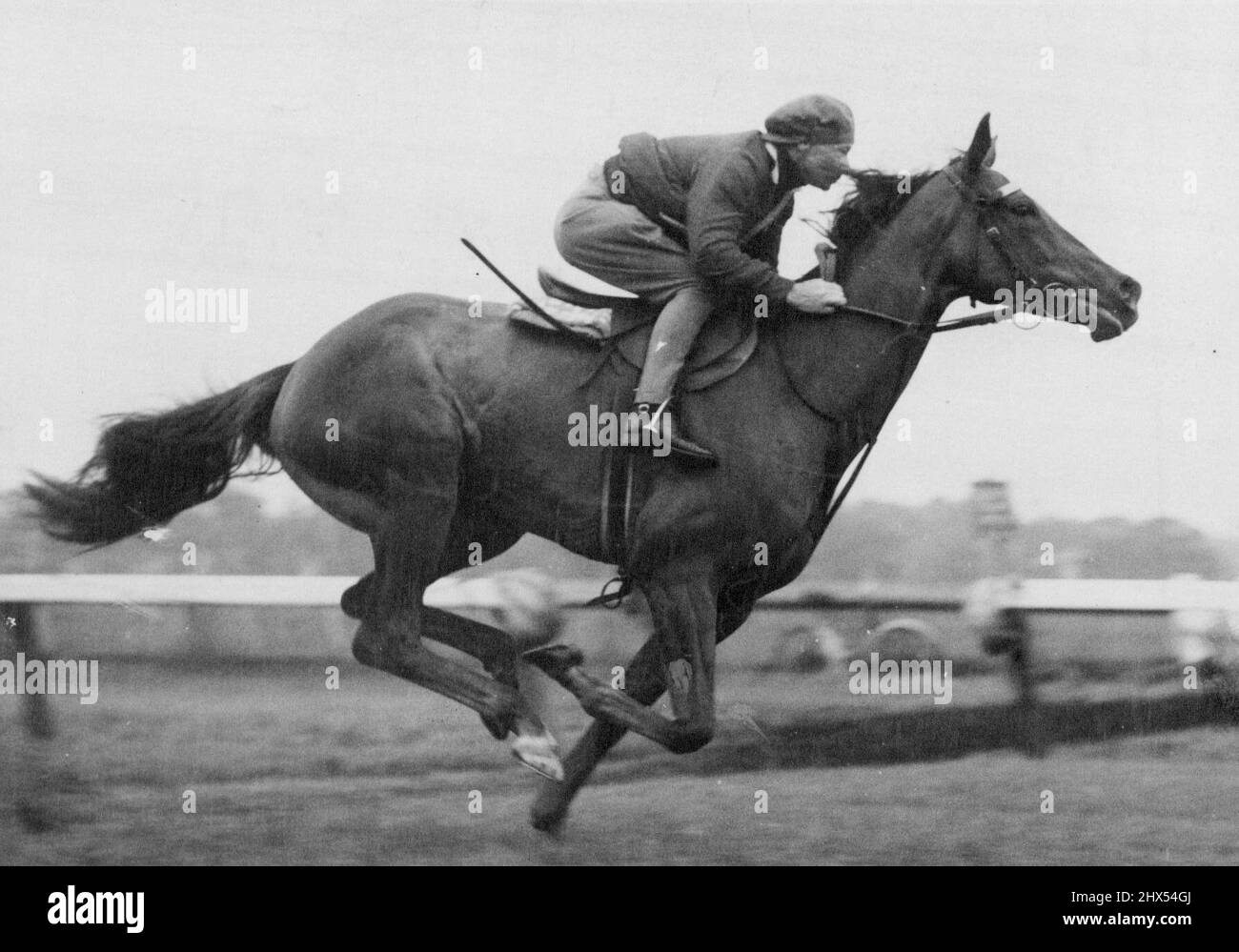 Sydney mare Tarien galops à Flemington en préparation pour le Newmarket de samedi. Elle a bien fait depuis sa troisième place dans la futurité. 25 février 1954. Banque D'Images