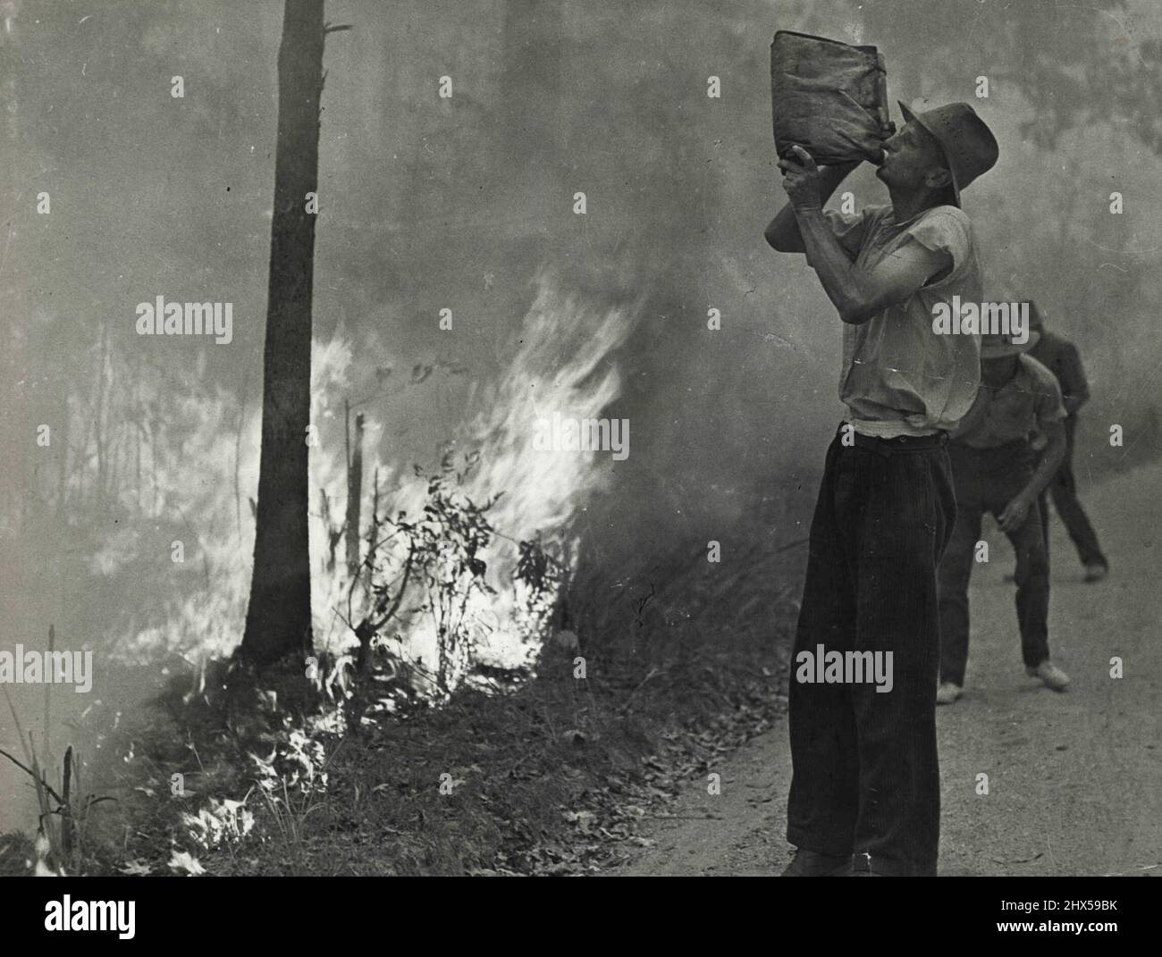 Divers - Feux - feux de brousse - Brigades - volontaires. 6 novembre 1950. Banque D'Images