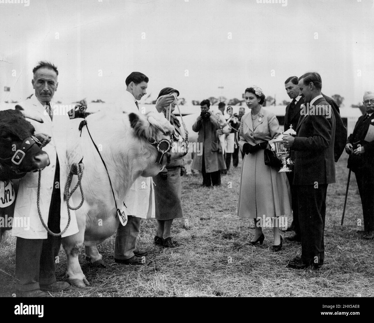 Les gagnants du Trophée Burke au Royal Show -- après avoir remis le Trophée Burke à Sir Peto Greenwood, qui l'a accepté au nom de la Shorthorn Society, H.M. la Reine a inspecté à proximité le champion Shorthorn Bull et la vache. Vu qu'elle est le n° 852 Erimus Ghost (taureau) de Lord Rotherswick. La vache championne était la princesse Maude de de M. James Durno. 09 juillet 1954. (Photo de Fox photos) Banque D'Images