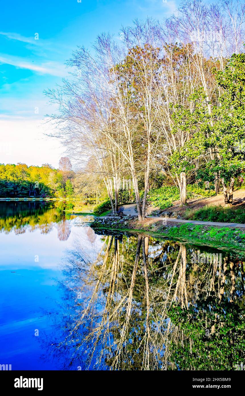 Le lac Mirror est photographié aux jardins Bellingrath, le 4 mars 2022, à Theodore, Alabama. Les jardins de 65 hectares ont ouvert au public en 1932. Banque D'Images