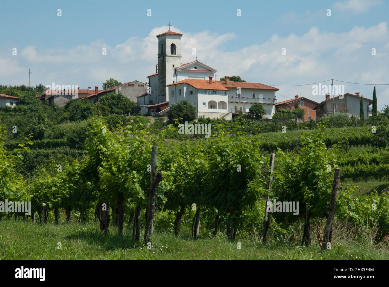 Slovénie, région littorale, Goriska Brda (collines de Gorizia), village de Vipolze et vignobles Banque D'Images