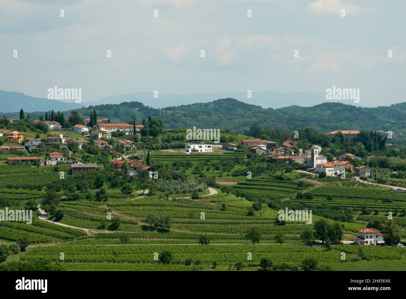Slovénie, région littorale, Goriska Brda (collines de Gorizia), village entouré de vignobles Banque D'Images