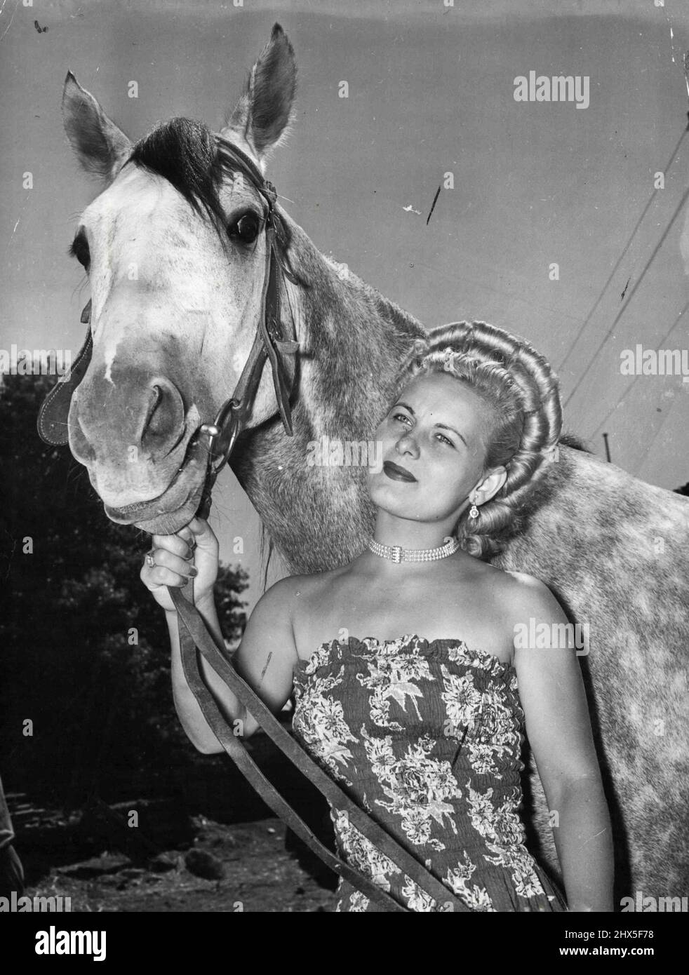 The Circus Life -- Ingha Smaha est une femme et une mère et interprète dans les meilleures traditions du cirque. Il n'y a pas de famille plus heureuse que celle parmi les artistes de Wirth ***** Et dans l'anneau Ingha est un flaxenhaired, ***** fille de glameuse. Je suis jusqu'à 7 heures. Mon mari aime se lever tôt et pratiquer avec les garçons, leur enseigner avec les chevaux. Ils le réveillent donc très tôt avec une tasse de thé et un biscuit. Quand je me lève, je nettoie la caravane le lundi - prendre tout dehors. Nous sommes habitués aux caravanes. Nous les avons eu en Angleterre et en Europe. Ce sont des caravanes de vacances plus petites, et plus, pour nous. Banque D'Images