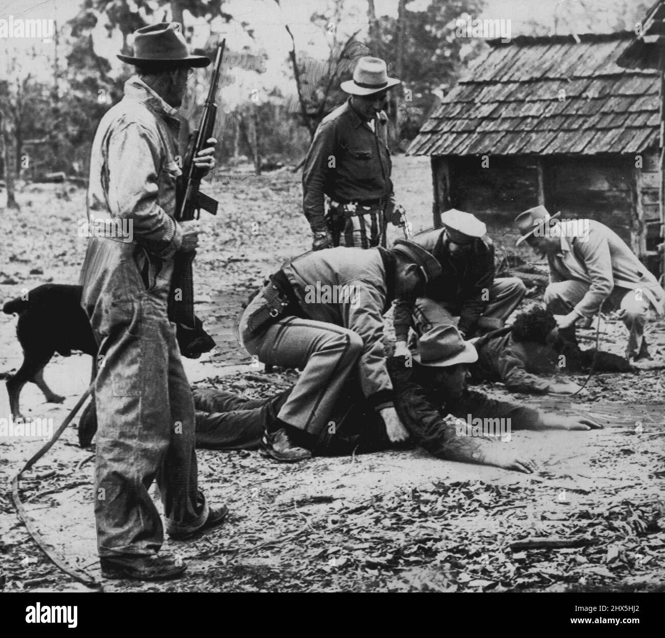 Fin de la chasse à l'homme -- le point culminant d'une chasse à l'homme de 57 heures par posse est montré ici comme Leon Turner, le plus proche de la caméra et Wendell Whitt, se trouvent sur le sol alors qu'ils sont recherchés par les officiers après leur capture près d'ici aujourd'hui. La confiance en prison et le chien de sang qui a conduit à la capture peuvent être vus en photo. Fin de la chasse au gibier. Après une intense fouille de 57 heures la semaine dernière, deux criminels échappés, Leon Turner (premier plan) et Wendell Whitt, ont été capturés dans une ville du Missouri, aux États-Unis le 18 janvier 1950. Banque D'Images