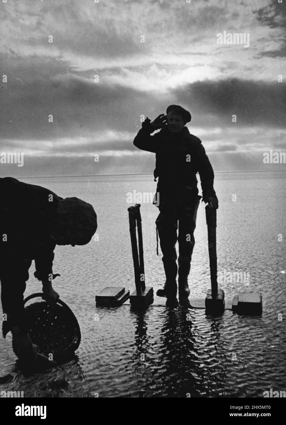 Il entend les coqs chanter -- depuis soixante ans, Tom Wilson est à l'écoute des coqs chanter sur les bancs de sable de Morecambe Bay, Lancs. 'ING ?' « Parfois, ils sont aussi bruyants que le sifflet d'un train », explique Tom. Deux fois par jour depuis soixante ans, il a conduit son âne et son chariot sur la promenade de six kilomètres jusqu'aux sables depuis le village de Flookburgh. Avec lui, il prend son jumbo - un appareil en bois comme un couple de cricket. Quand il roque le jumbo et pour les coques sont acrés à la surface et le fils de Tom, Harold, les rassemble. 1 janvier 1948. (Fonctions photo par miroir). Banque D'Images