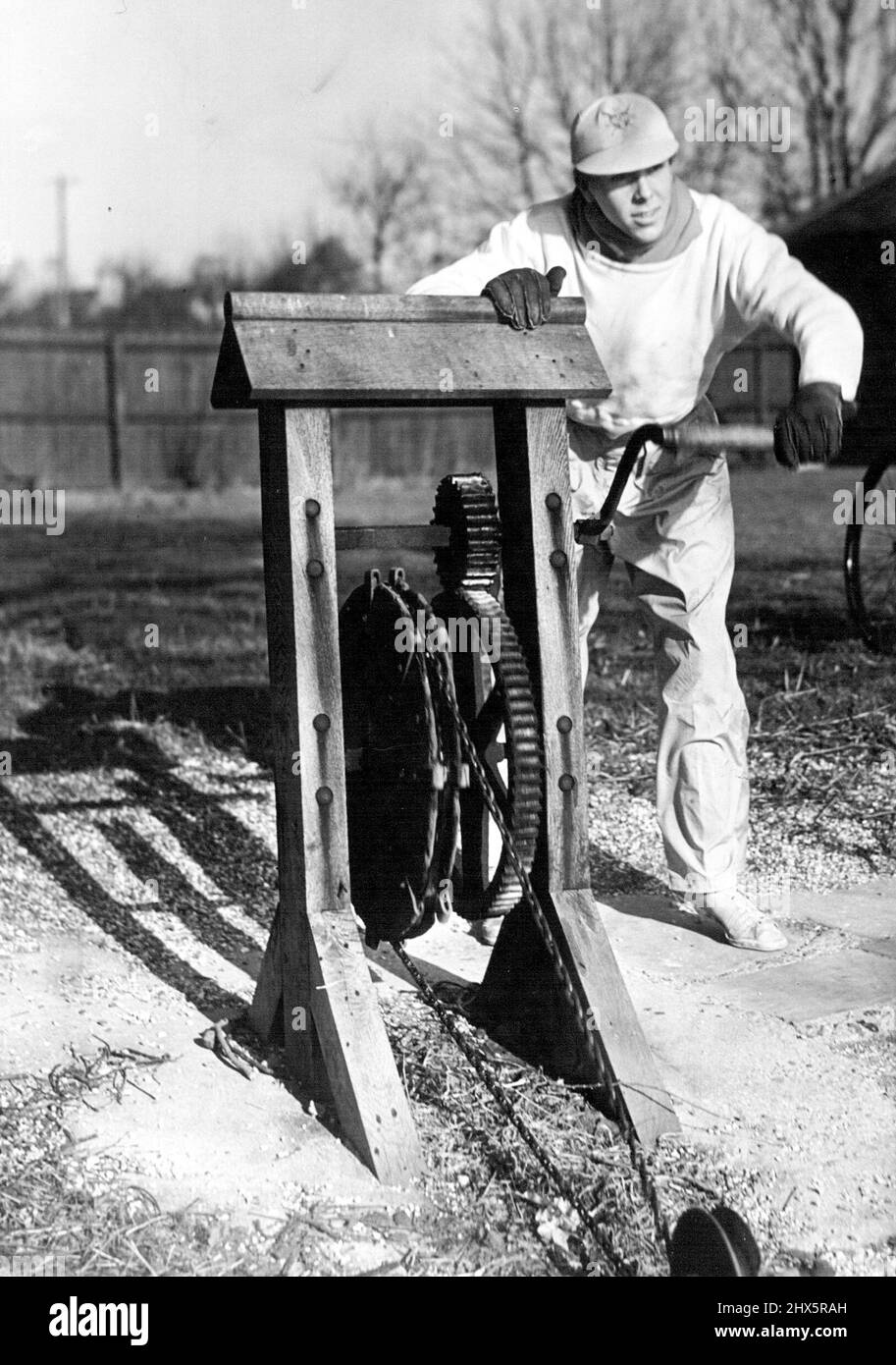 Cambridge Cox combine l'exercice avec le travail utile -- sélectionné pour Cox The Cambridge Crew leur course annuelle en bateau avec Oxford, A.C.R. Armstrong-Jones fait ses 'bras fort' avec l'aide du sans vent utilisé pour transporter des coéquipiers à travers la rivière ***** . Son poids en pierre de 9 (Eton College et Jésus). 18 février 1950. (Photo de Fox photos). Banque D'Images