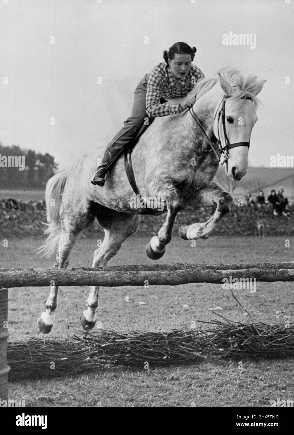 Famous pair in Training -- Une belle photo d'action de Miss Pat Smythe et de son cheval gris tout aussi célèbre 'Tosca', comme ils pratiquent dans le paddock de sa maison à Miserden (Glos) en préparation aux épreuves olympiques de chevaux au Badminton. Pat Smythe, 24 ans, le célèbre show-pull, qui a été récemment élu 'sportswoman de l'année', est maintenant en formation stricte pour les épreuves du cheval olympique qui se déroulent au Badminton les 21st, 22nd et 23rd avril. Elle sera en compétition pour la première fois depuis son retour de sa tournée triomphante des États-Unis et du Canada l'automne dernier. 20 avril 1954. (Photo de Fox photos). Banque D'Images