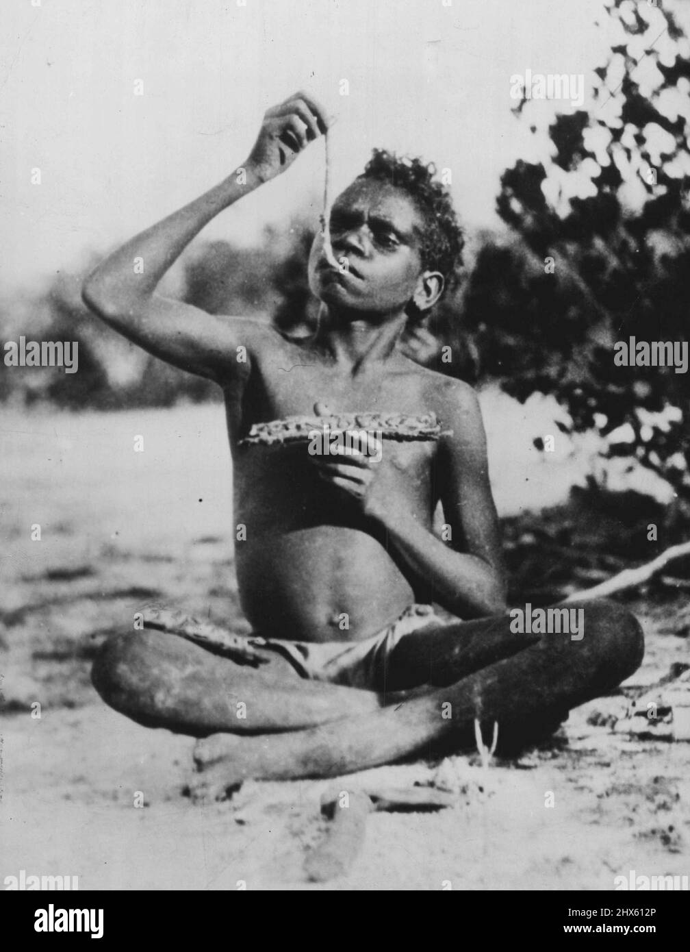 Les indigènes de l'Afrique de l'Ouest chassent pour des morceaux de bois pourris, en vers blancs ont ennuyé. Les indigènes tirent ensuite les vers, et les avalent crus et vivants. C'est plus populaire qu'une chasse au gros gibier avec les autochtones. Dites « ouh ». Mais qu'en est-il des escargots et des grenouilles pour hommes blancs ? 18 mai 1940.;les indigènes d'Afrique de l'Ouest chassent des morceaux de bois pourris, en vers blancs s'ennuient. Les indigènes tirent ensuite les vers, et les avalent crus et vivants. C'est plus populaire qu'une chasse au gros gibier avec les autochtones. « Tu es » Banque D'Images