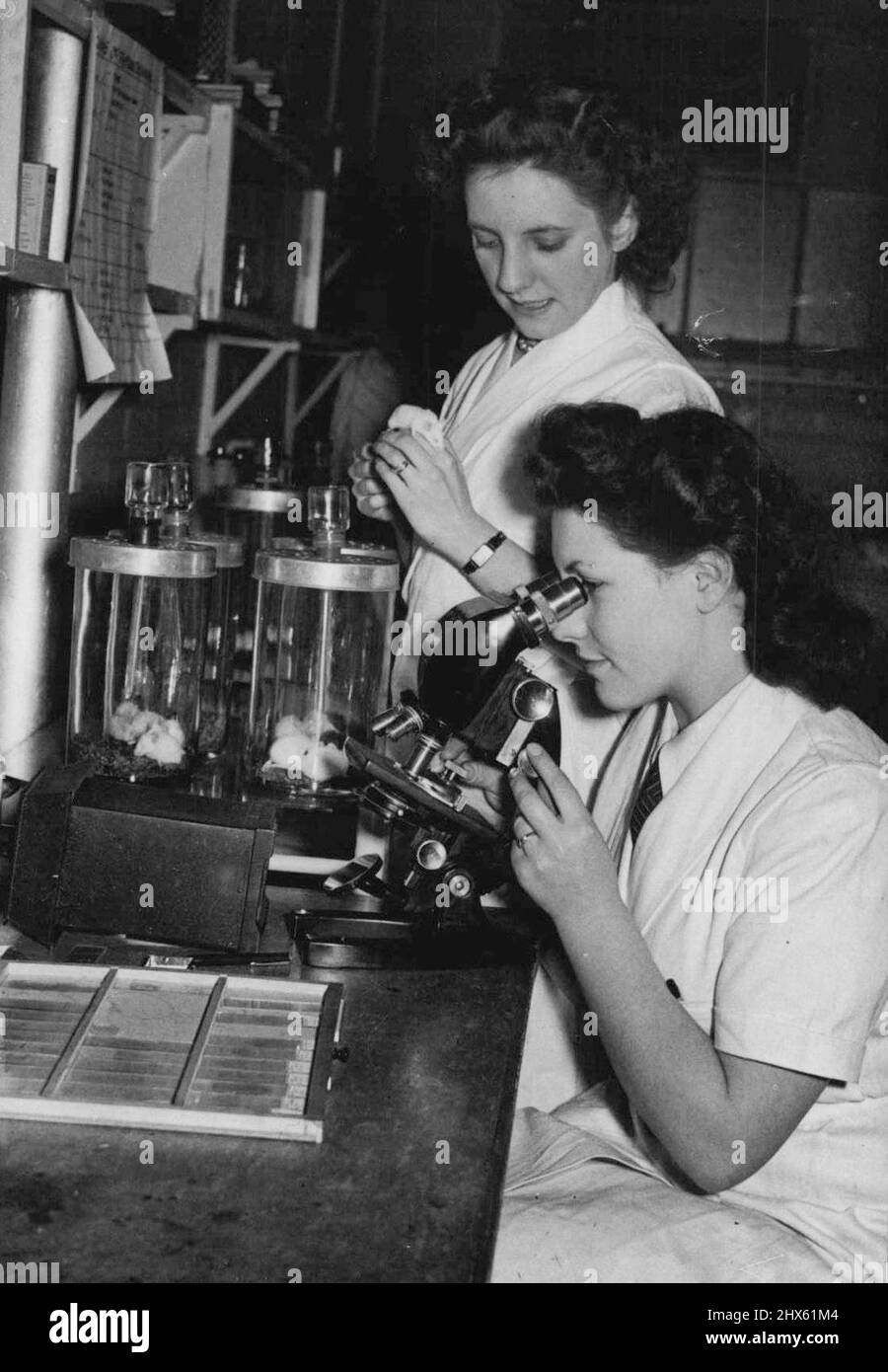 Nouveau médicament découvert par des scientifiques britanniques -- des membres du personnel qui examinent le sang des souris infectées pendant les travaux de recherche sur le nouveau médicament dans les laboratoires de l'Imperial Chemical Industries à Blackley, Manchester. Les détails d'un nouveau médicament découvert par des scientifiques britanniques ont été annoncés par le Colonial Office de Londres. Le médicament, connu sous le nom d'Antrycide, est le produit de quatre années de travaux de recherche par des scientifiques de l'Imperial Chemical Industries, et est un remède et une protection contre tous les f Banque D'Images