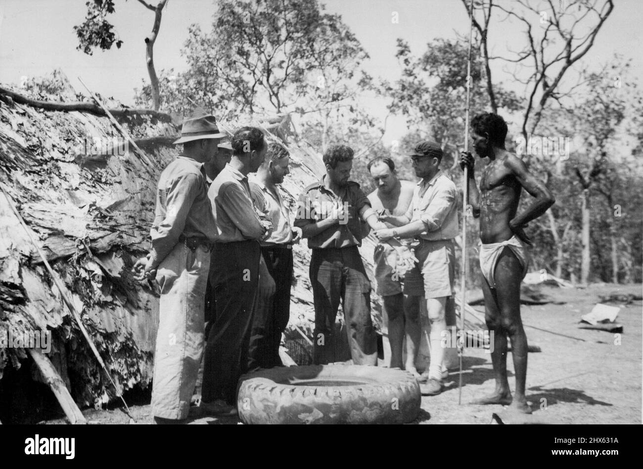Worrell (la « victime ») et le Dr Benn, de Melbourne, démontrent aux chasseurs de buffles et aux aborigènes la bonne façon de traiter une morsure de serpent. Worrell a eu beaucoup d'expérience dans ce. 13 février 1952. Banque D'Images
