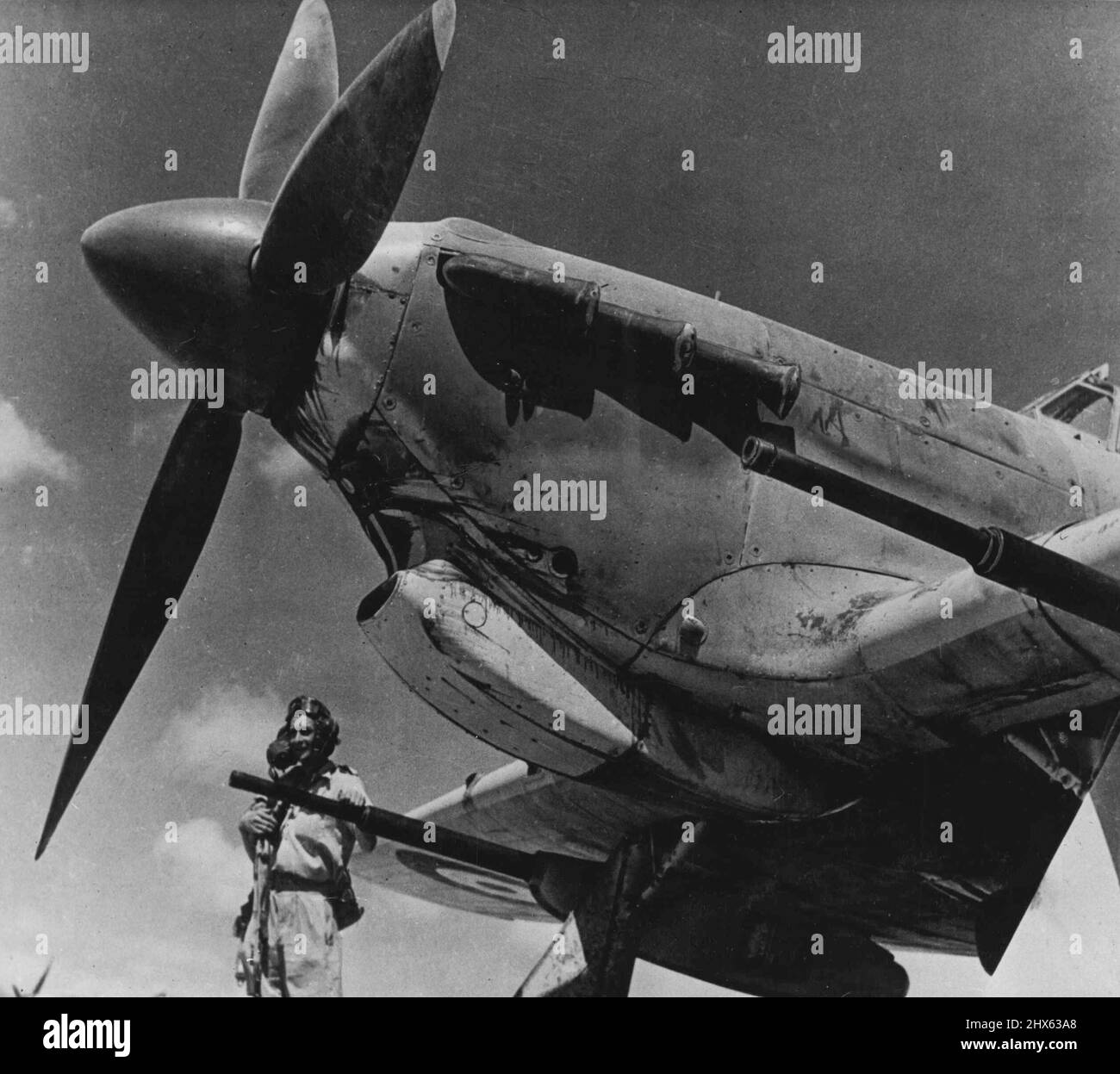 R.A.F. « Tin Openers » au Moyen-Orient -- c'est l'une des premières photos publiées de la R.A.F. Nouveau Tank Buster un Hawker Hurricane 11D chasseur - équipé de canons de calibre lourd, conçu principalement pour attaquer les véhicules blindés. L'ouragan 11D transporte des canons de 40 millimètres, un en étant installé sous chaque aile. Ils sont capables d'un feu automatique ou d'un seul tir, ont été spécialement conçus pour le montage sur avion, et le poids de chacun est seulement 320 lb. 3 juin 1943. (Photo par Depar Banque D'Images R.A.F. « Tin Openers » au Moyen-Orient -- c'est l'une des premières photos publiées de la R.A.F. Nouveau Tank Buster un Hawker Hurricane 11D chasseur - équipé de canons de calibre lourd, conçu principalement pour attaquer les véhicules blindés. L'ouragan 11D transporte des canons de 40 millimètres, un en étant installé sous chaque aile. Ils sont capables d'un feu automatique ou d'un seul tir, ont été spécialement conçus pour le montage sur avion, et le poids de chacun est seulement 320 lb. 3 juin 1943. (Photo par Depar Banque D'Images