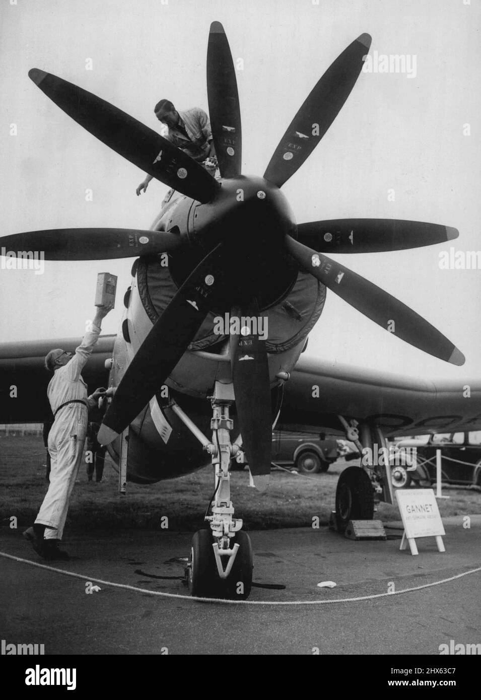 Le Farnborough Air Display -- le fairey Gannet c'est un avion anti-sous-marin à trois places né. Il est équipé d'un moteur Propeller double turbo Armstrong Siddeley. Les deux hélices à quatre lames peuvent être exécutées indépendamment. L'avion survolera l'un ou l'autre ou les deux. 12 septembre 1951. (Photo de Paul Popper Ltd). Banque D'Images