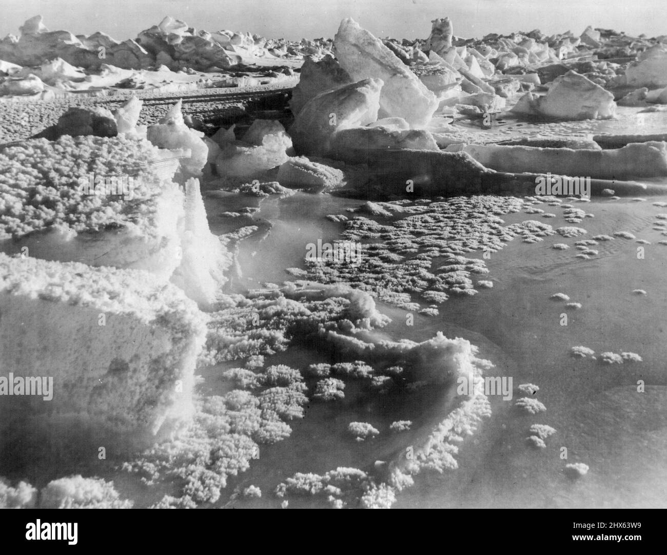 De beaux cristaux de Rosette font un fairyland au bord des flots éclatés dans le parc de glace de l'Antarctique. Les formations sont d'une régularité remarquable et d'une délicatesse fragile. 23 juin 1930. (Photo du Herald Feature Service). Banque D'Images