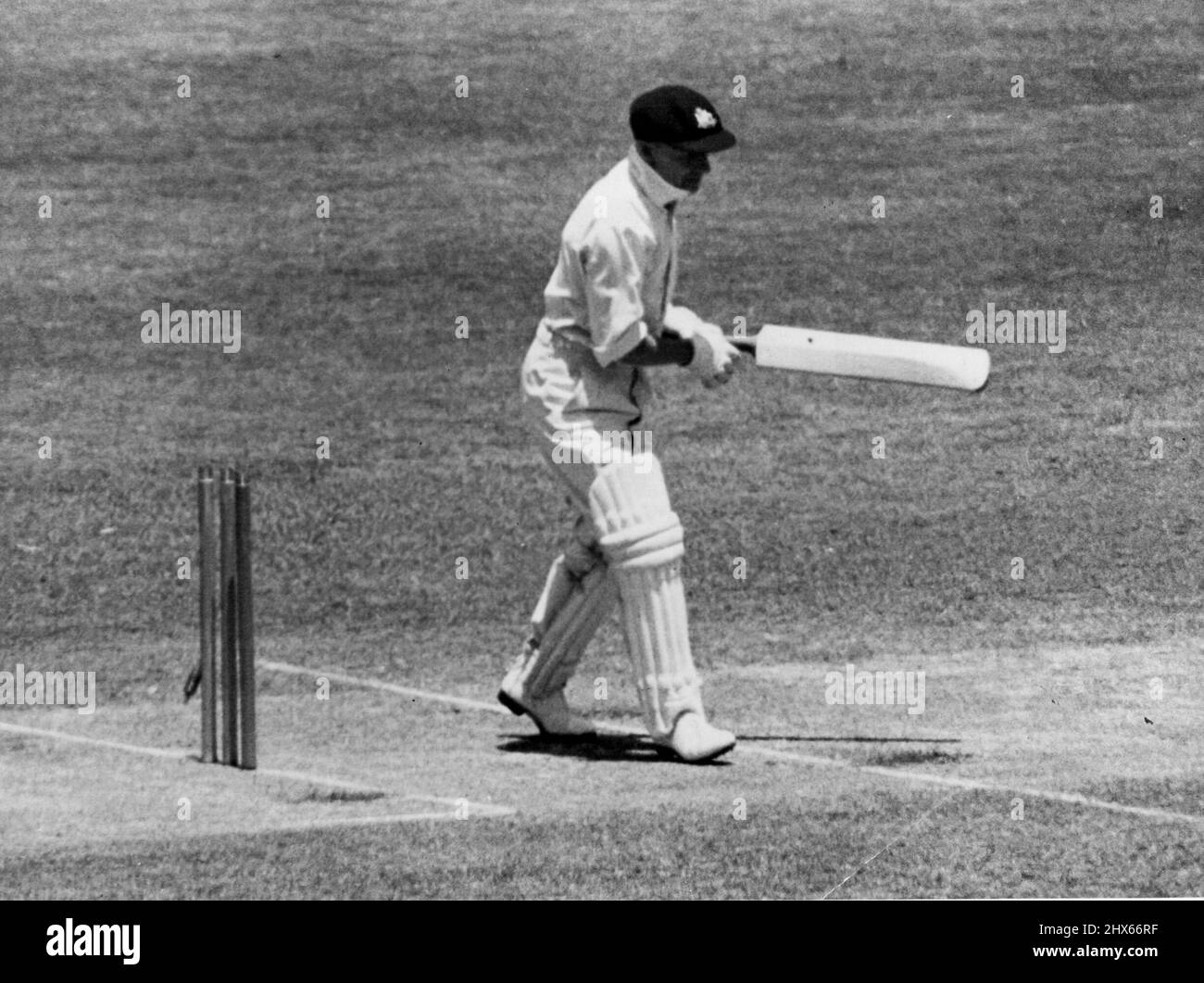 Bradman a été animé par Edrich pour 187 lors du Test de 1946 à Brisbane. Une décision antérieure avait sauvé Bradman. 9 février 1949. (Photo de C. Mail). Banque D'Images