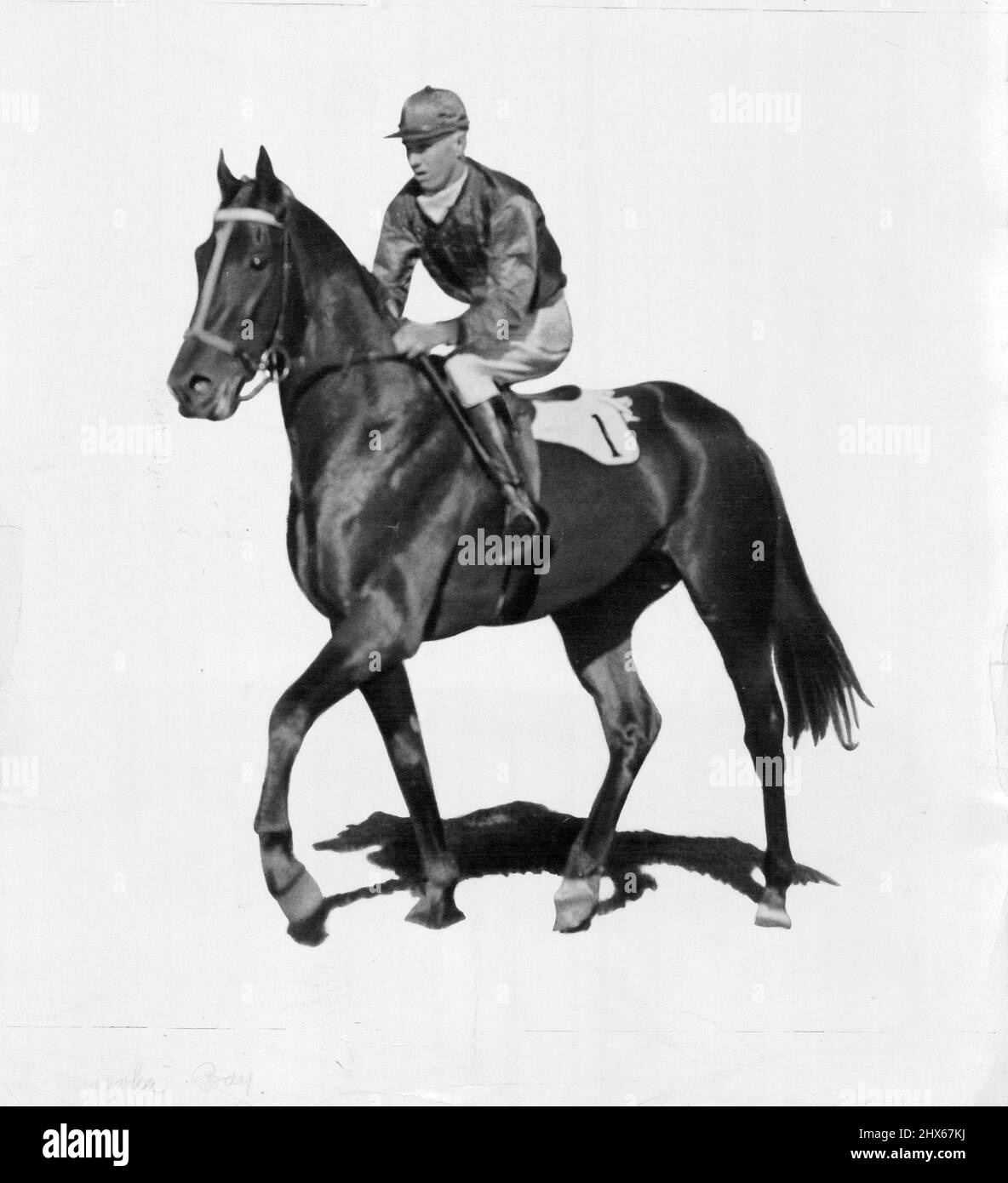 Winooka Bay Horse par Windbag-Kanooka propriété de W. C. McDonald et A. J. Matthews et formé par Mick poison. A gagné environ f20 000 en enjeux de 15 victoires, six secondes et cinq tiers. En 1933, remporte les enjeux de futurité Caulfield, AJC Doncaster H' Cap AJC All Aged Stakes, VRC Leonard Stakes et Monee Valley Quality H' Cap. Porté en Amérique, a gagné quatre des neuf courses. Retourné, cassé dans le Doncaster 1935 de l'AJC, couleurs: Tartan, manches jaunes bouchon jaune. Jockey. S. Davison. 1 août 1955. Banque D'Images