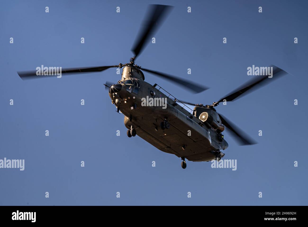 Un hélicoptère CH-47 Chinook de l'Aviation Task Force (ATF) de la Royal British Air Force s'envole après avoir déposé des soldats lituaniens lors d'un exercice d'assaut aérien mené par les États-Unis, la Lituanie et le Royaume-Uni, à Kazlu Ruda (Lituanie), le 01 mars 2022. L'exercice multinational a démontré l'interopérabilité entre les forces lituaniennes pour Sabre Strike 22. Les frappes de sabre et les exercices comme celui-ci montrent que les forces américaines et européennes peuvent simultanément soutenir les opérations en cours et l'entraînement régulier sans dégradation dans le soutien des alliés de l'OTAN et Banque D'Images