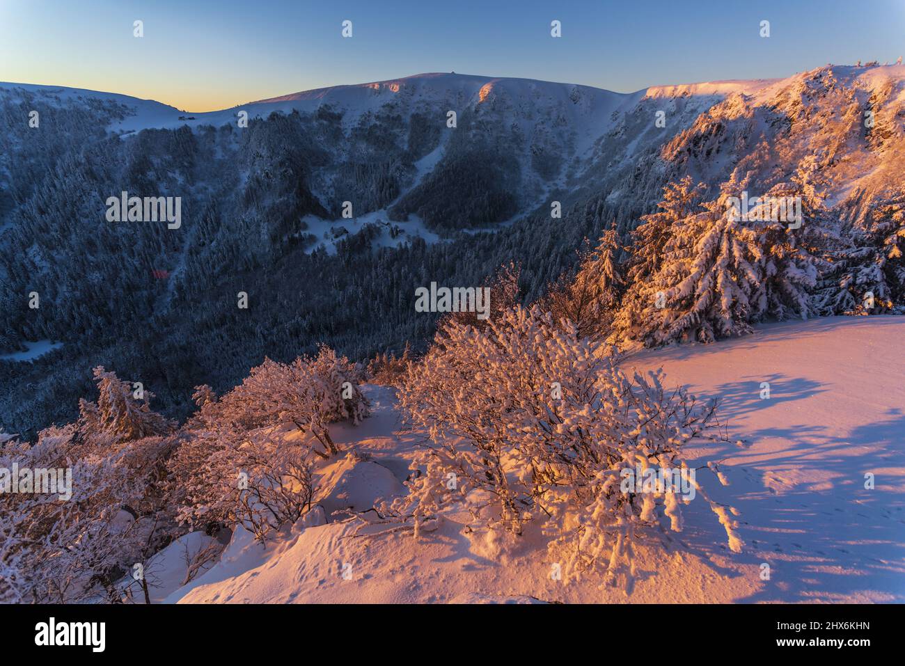 FRANCE, Alsace, HautRhin (68), Parc naturel régional des ballons des