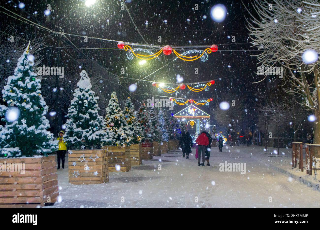 Rue de ville enneigée avec arbres de Noël et décoration lumineuse Banque D'Images