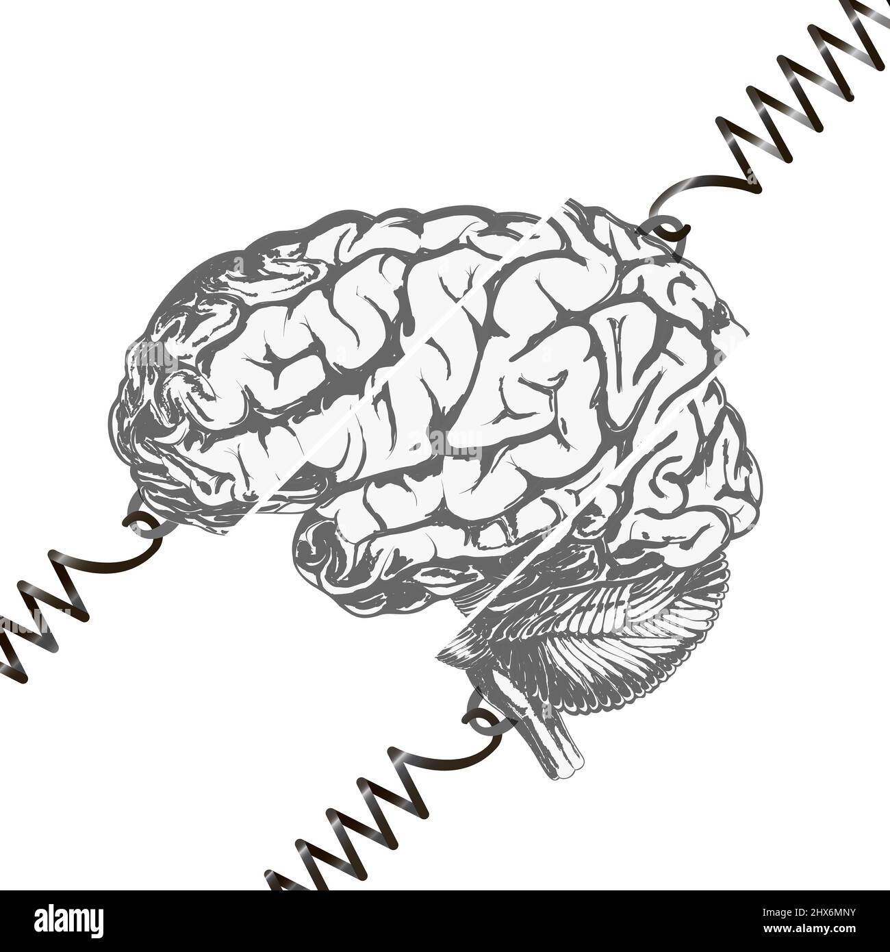 Des ressorts déchirant le cerveau. Le concept de travail dur, pression dans les affaires, poussée, affaiblissement, épuisement, colère, surcontrainte, problèmes non résolus. Banque D'Images Des ressorts déchirant le cerveau. Le concept de travail dur, pression dans les affaires, poussée, affaiblissement, épuisement, colère, surcontrainte, problèmes non résolus. Banque D'Images
