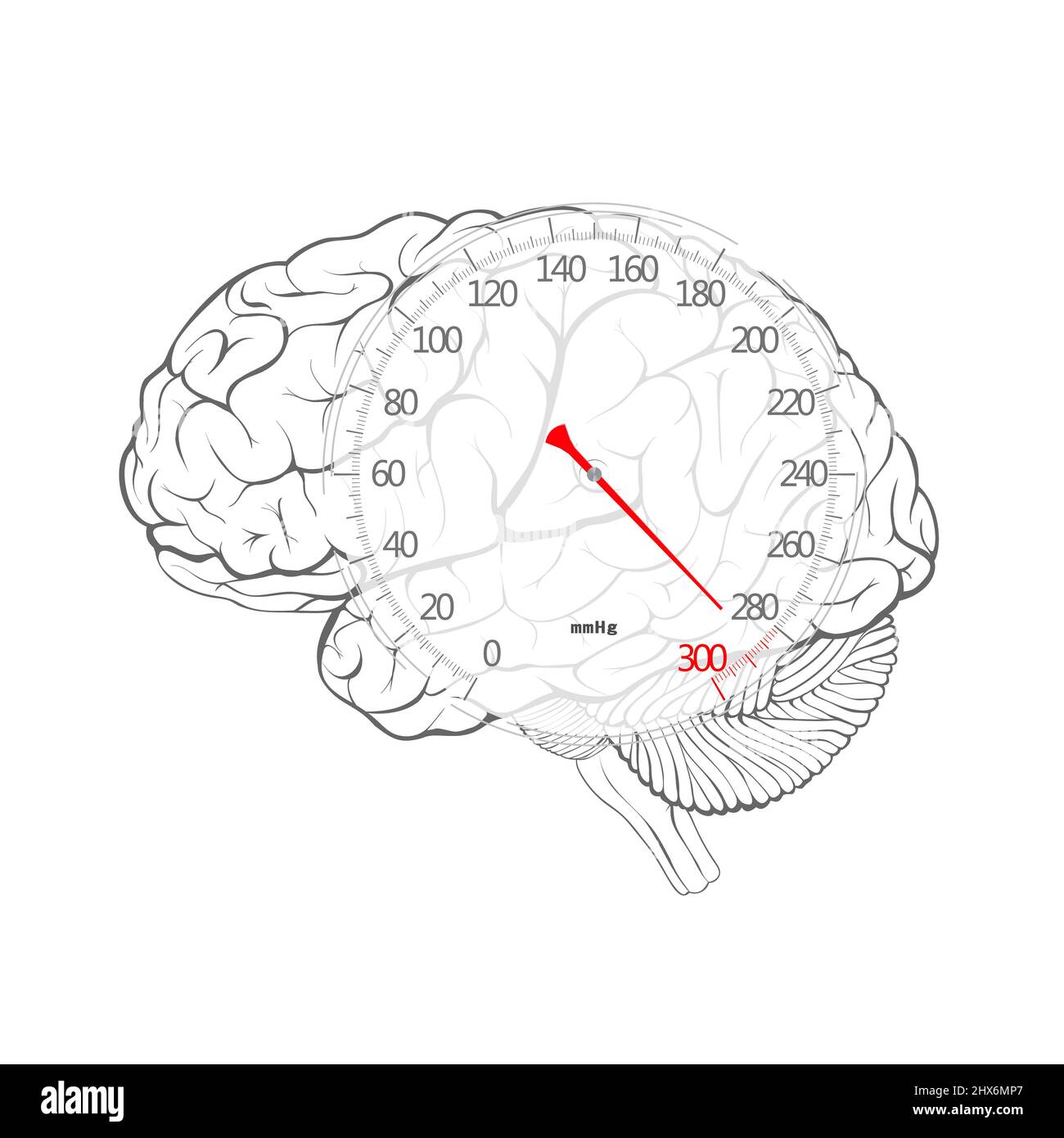 Flèche rouge du cadran de pression artérielle sur le cerveau, isolé sur fond blanc Banque D'Images