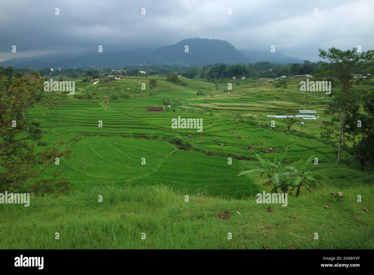 Mojokerto, Indonésie : 22 janvier 2022 : belles vues sur les rizières, les montagnes, les vieux cabanes. Idéal pour les paysages naturels. Banque D'Images