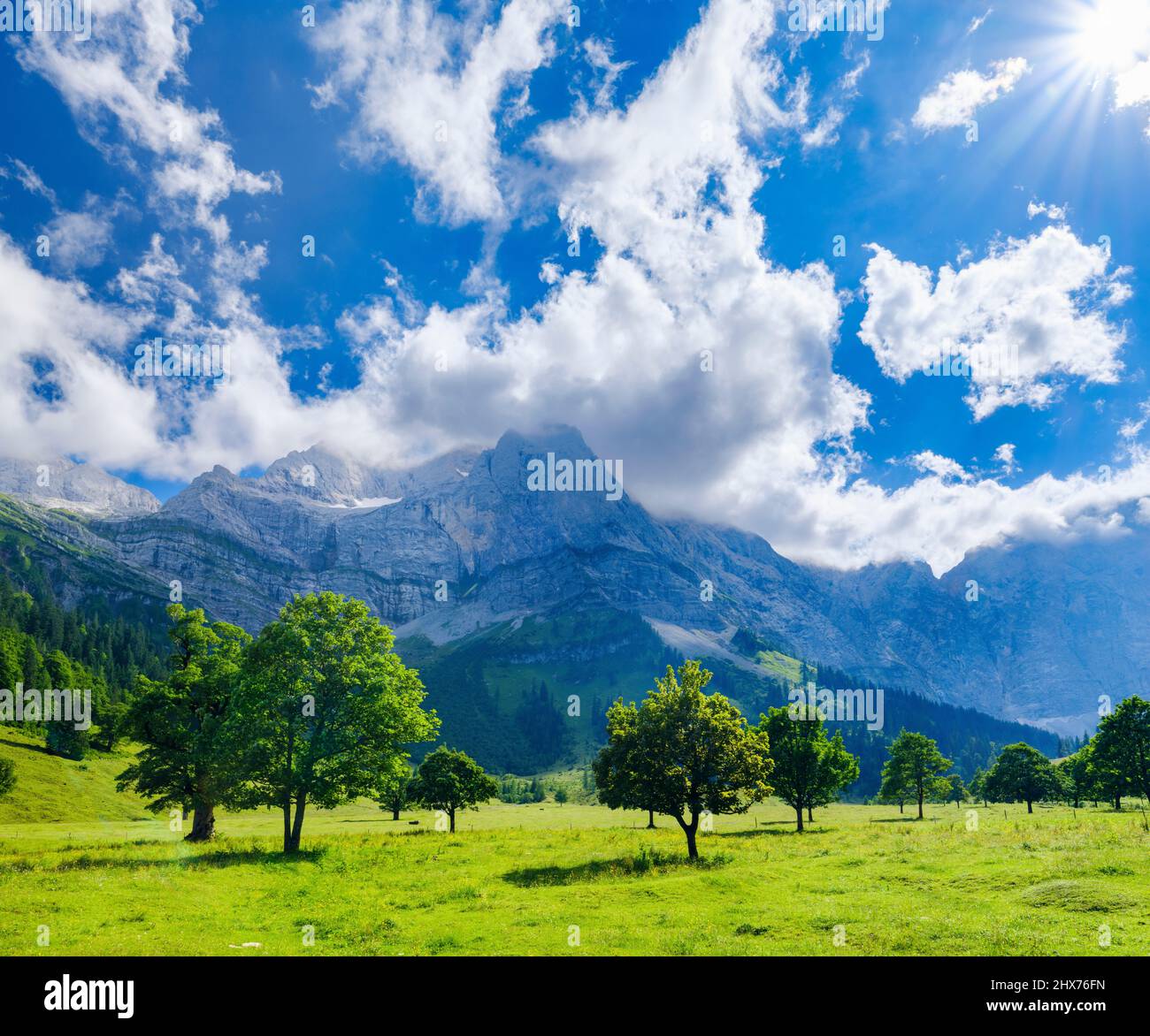 Alpe Grosser Ahornboden. Karwendel montagnes près de Eng Alpe dans la vallée de Rissbach Creek dans le Tyrol. Europe, Autriche Banque D'Images