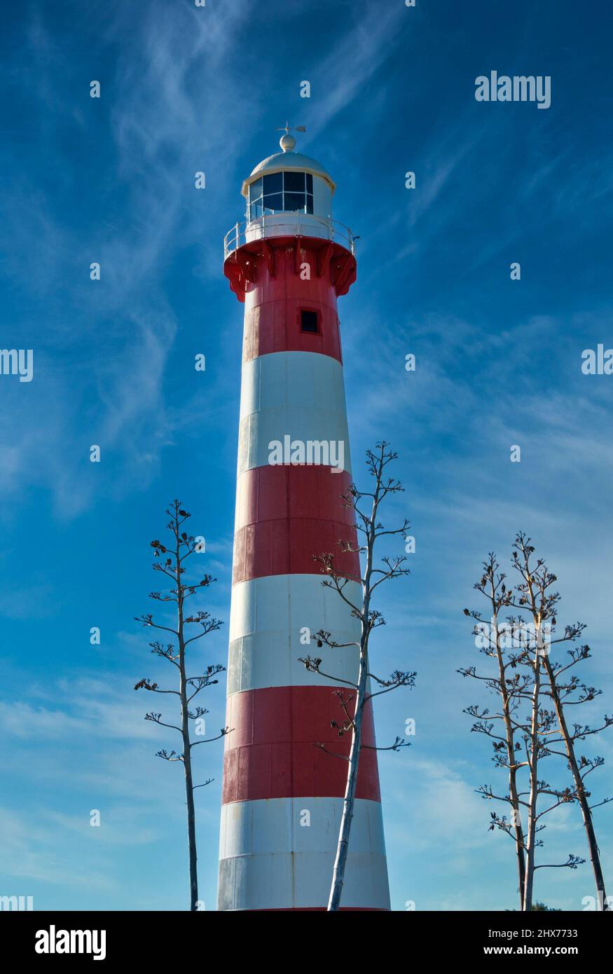 L'emblématique structure de sécurité maritime rouge et blanc de Geraldton, en Australie occidentale, connue sous le nom de Port Moore Lighthouse avec des tiges en sisal au premier plan. Banque D'Images