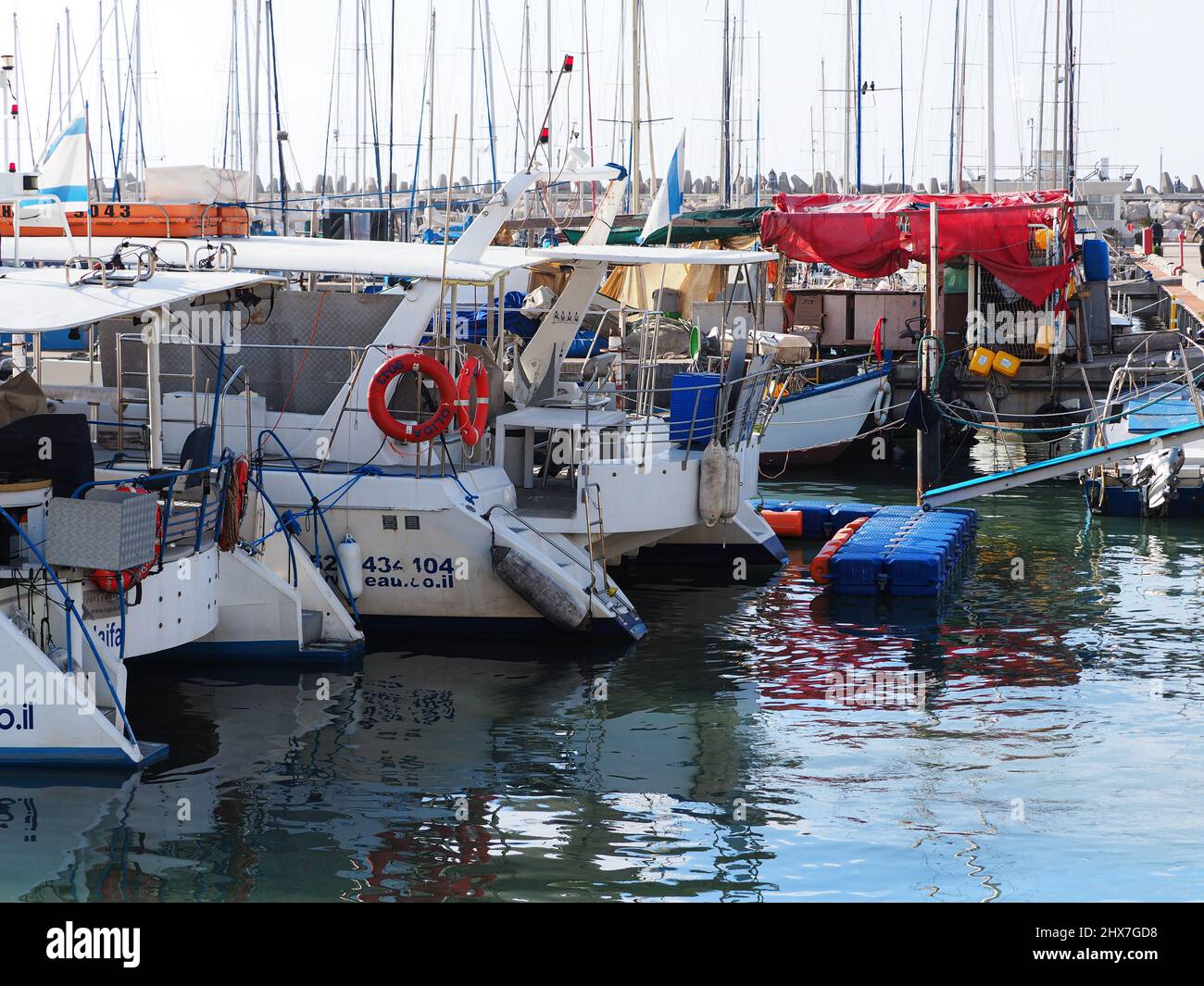 ASHKELON, ISRAËL - 04 MARS 2022 : yachts dans un yacht club sur la mer méditerranée. Banque D'Images