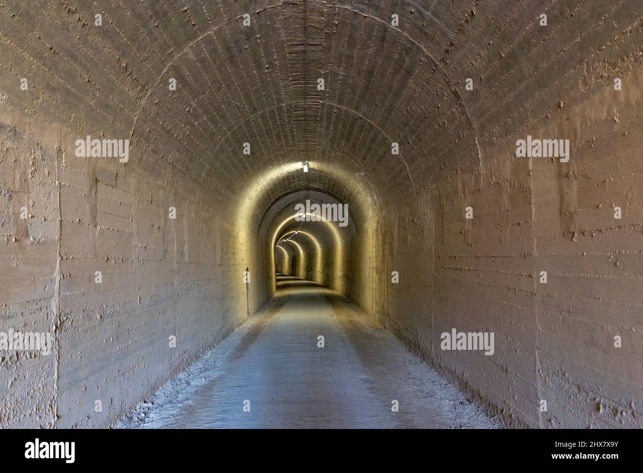 Vue sur un tunnel bien éclairé d'une ancienne voie ferrée menant à l'infini Banque D'Images