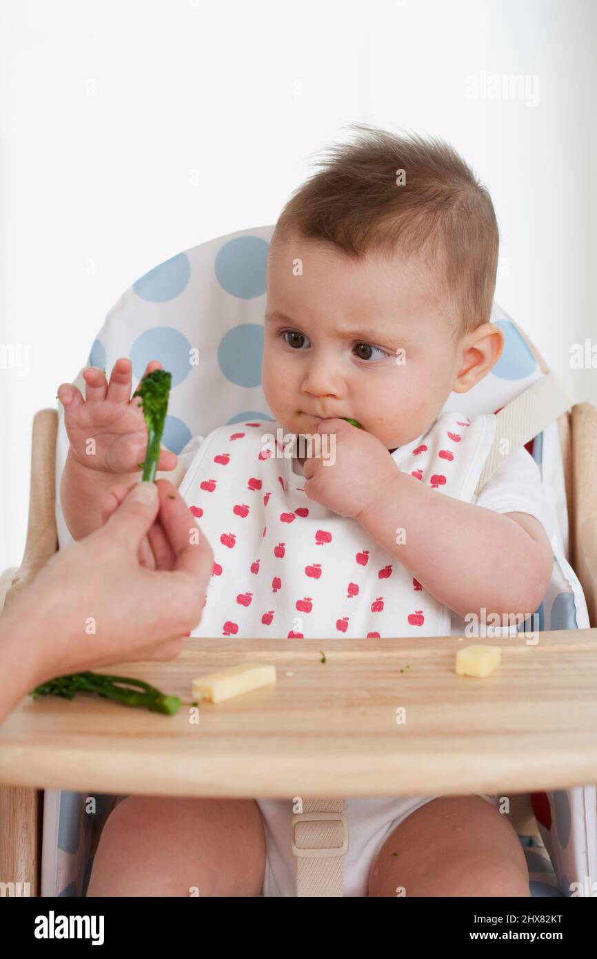 Bébé fille portant le bob attaché dans la chaise haute manger de petits morceaux de fromage et de légumes remis à elle par un adulte Banque D'Images