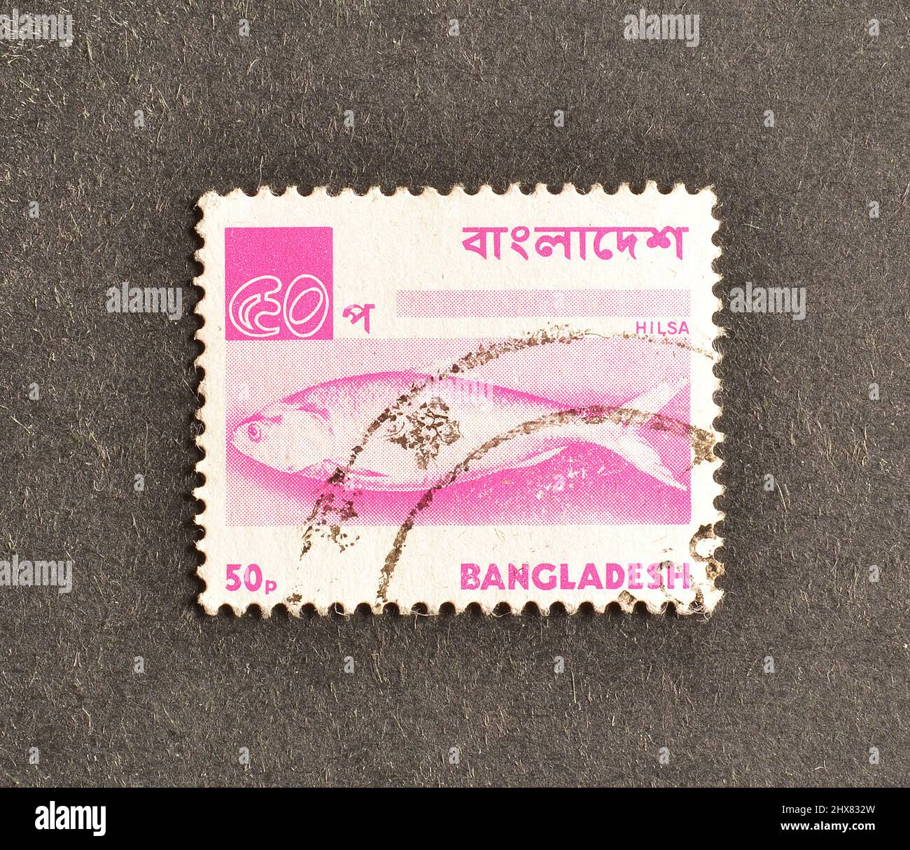 Timbre-poste annulé imprimé par le Bangladesh, qui montre Hilsa - Ilish Fish (Tenualosa ilisha), vers 1976. Banque D'Images
