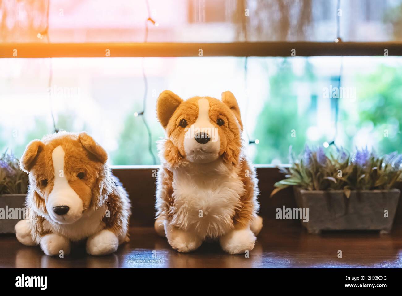 Une jolie poupée de chiens blancs et bruns s'assoit sur le comptoir près d'une grande fenêtre en verre dans le café. Belle décoration de jouets animaux dans le café. Magnifiques chiens de poupée dans br Banque D'Images