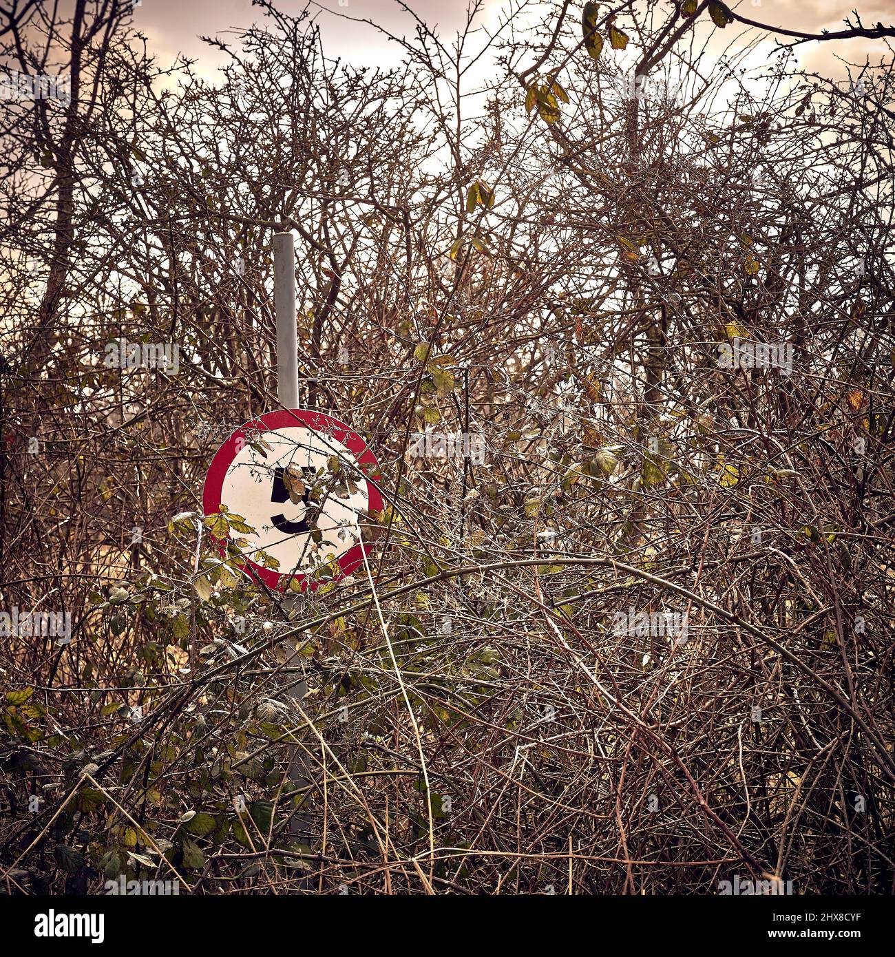 Panneau de limite de vitesse en partie caché des gorges les plus amongres sur le bord de la route Banque D'Images