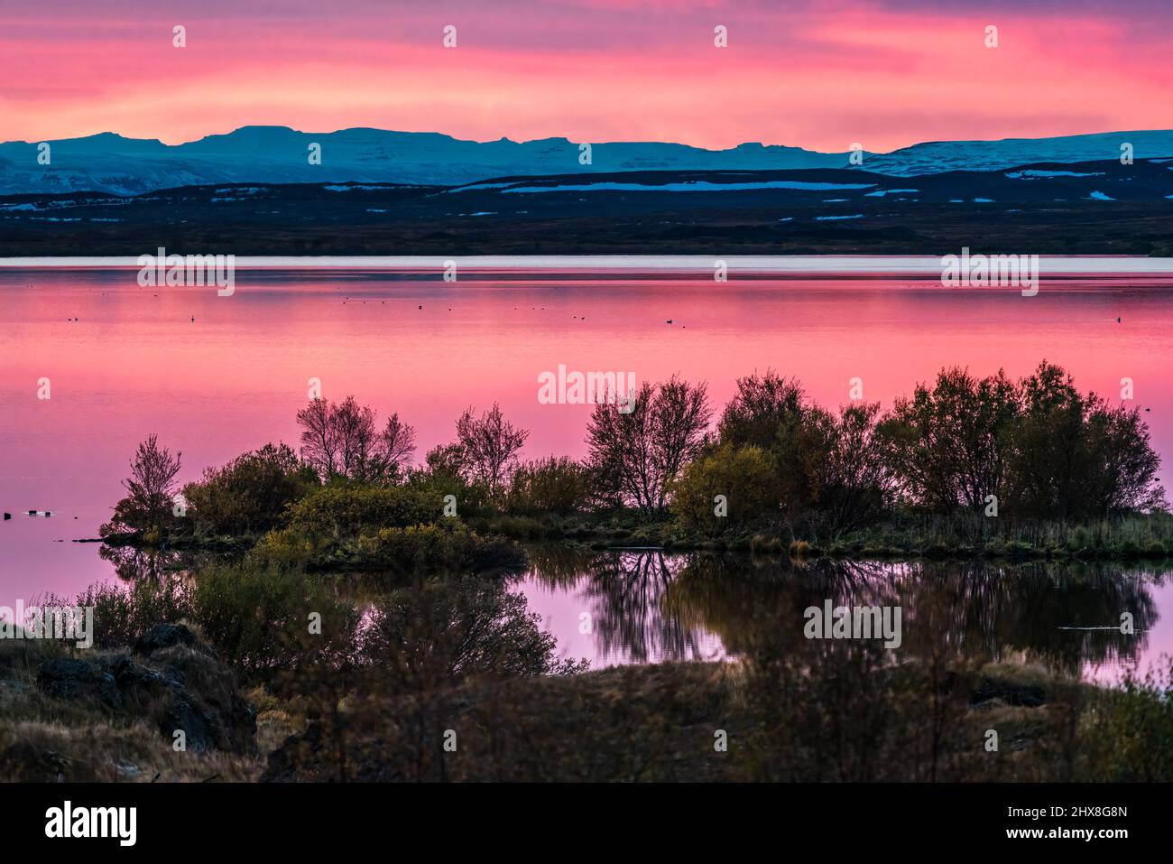 Lac Myvatn au coucher du soleil avec des couleurs roses Banque D'Images