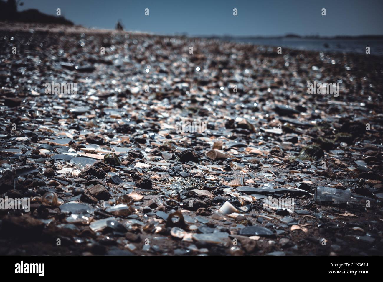 Les ordures et les os d'époque couvraient la plage de Dead Horse Bay à long Island Banque D'Images